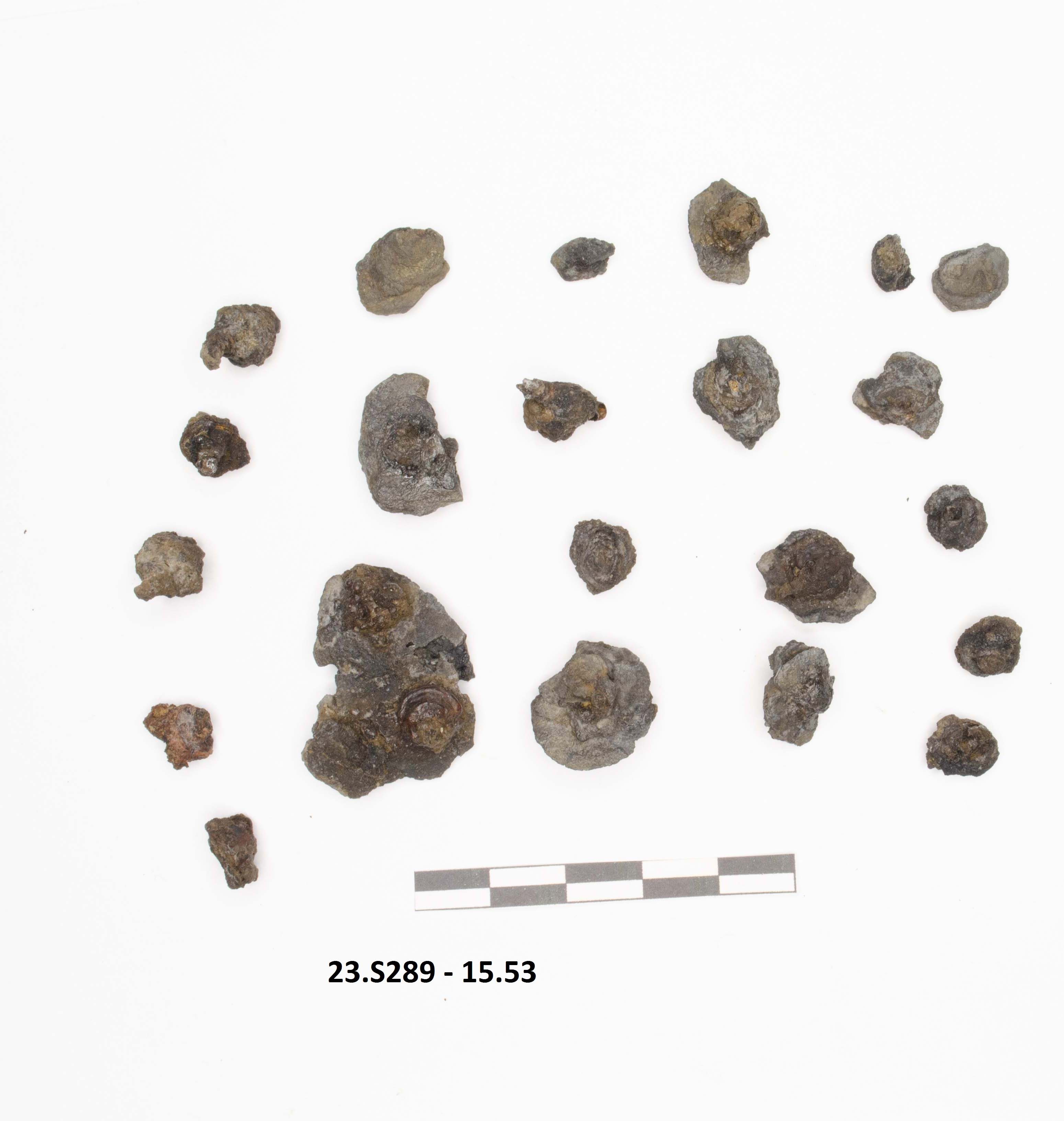 SINGOLO OGGETTO/ frammento, PERIODIZZAZIONI/ STORIA/ Età antica/ Età romana/ Età romana imperiale/ Età tardoimperiale