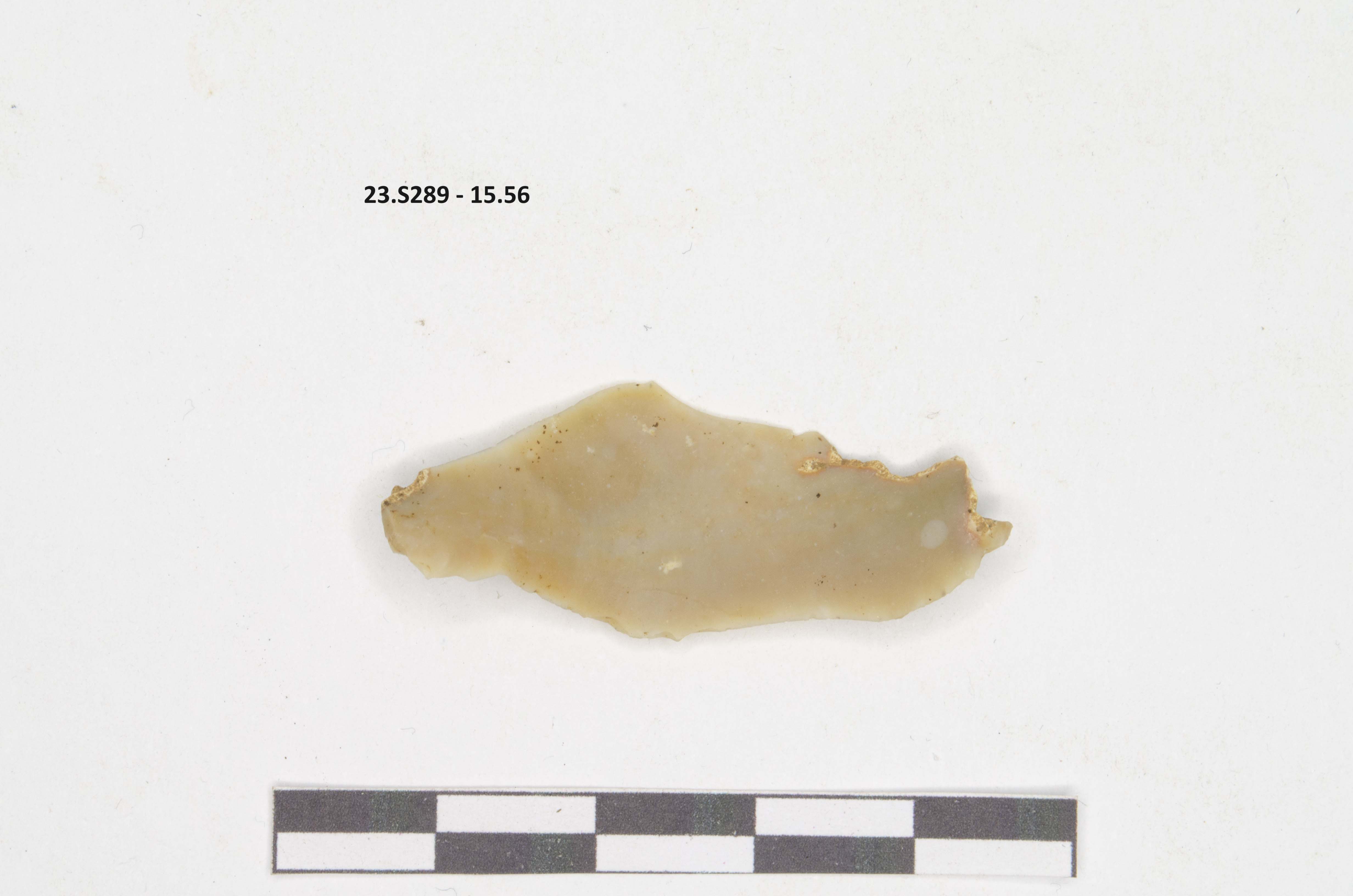 SINGOLO OGGETTO/ frammento di selce, non determinabile