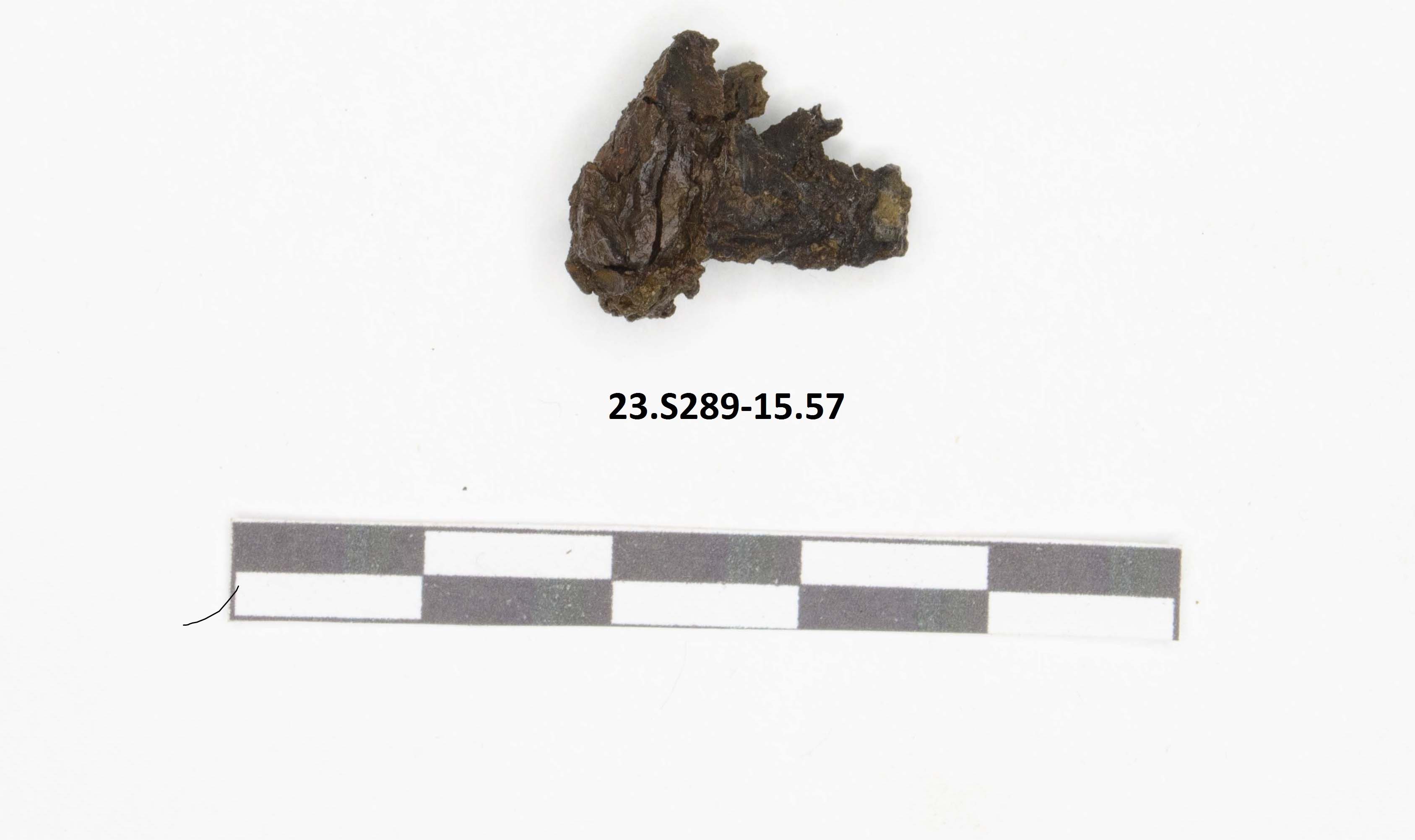 SINGOLO OGGETTO/ chiodo, PERIODIZZAZIONI/ STORIA/ Età antica/ Età tardoantica