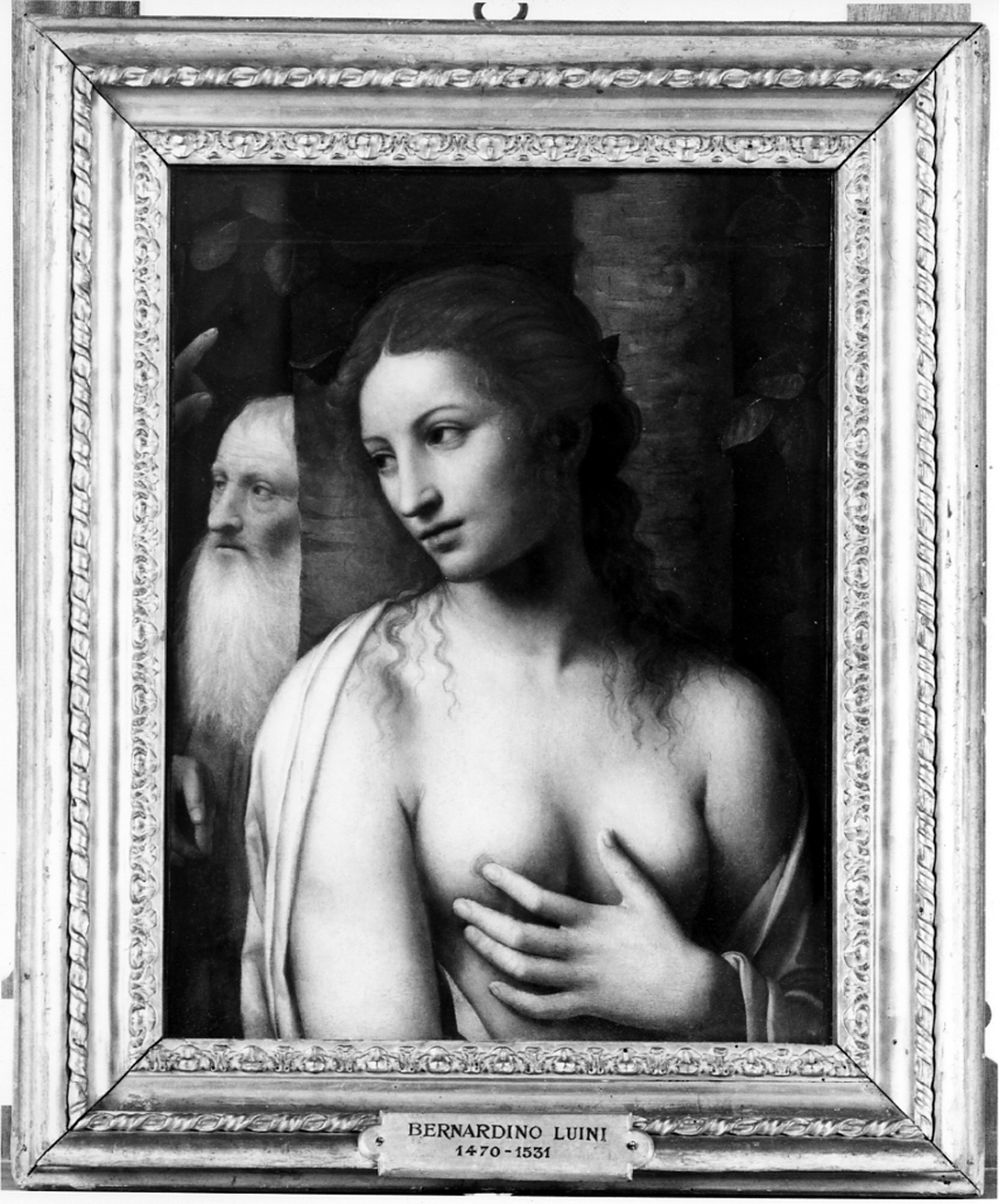 La casta Susanna, Susanna e i vecchioni, Susanna e i vecchi (dipinto, frammento) di Luini Bernardino (primo quarto sec. XVI)