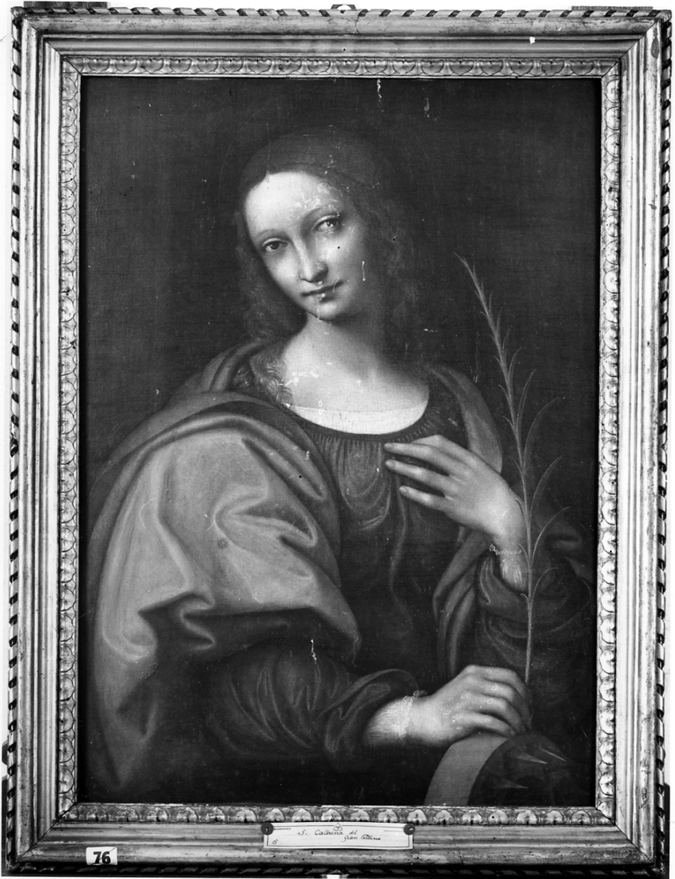 Santa Caterina D'Alessandria (dipinto, opera isolata) di Rizzi Gian Pietro detto Giampietrino (sec. XVI)