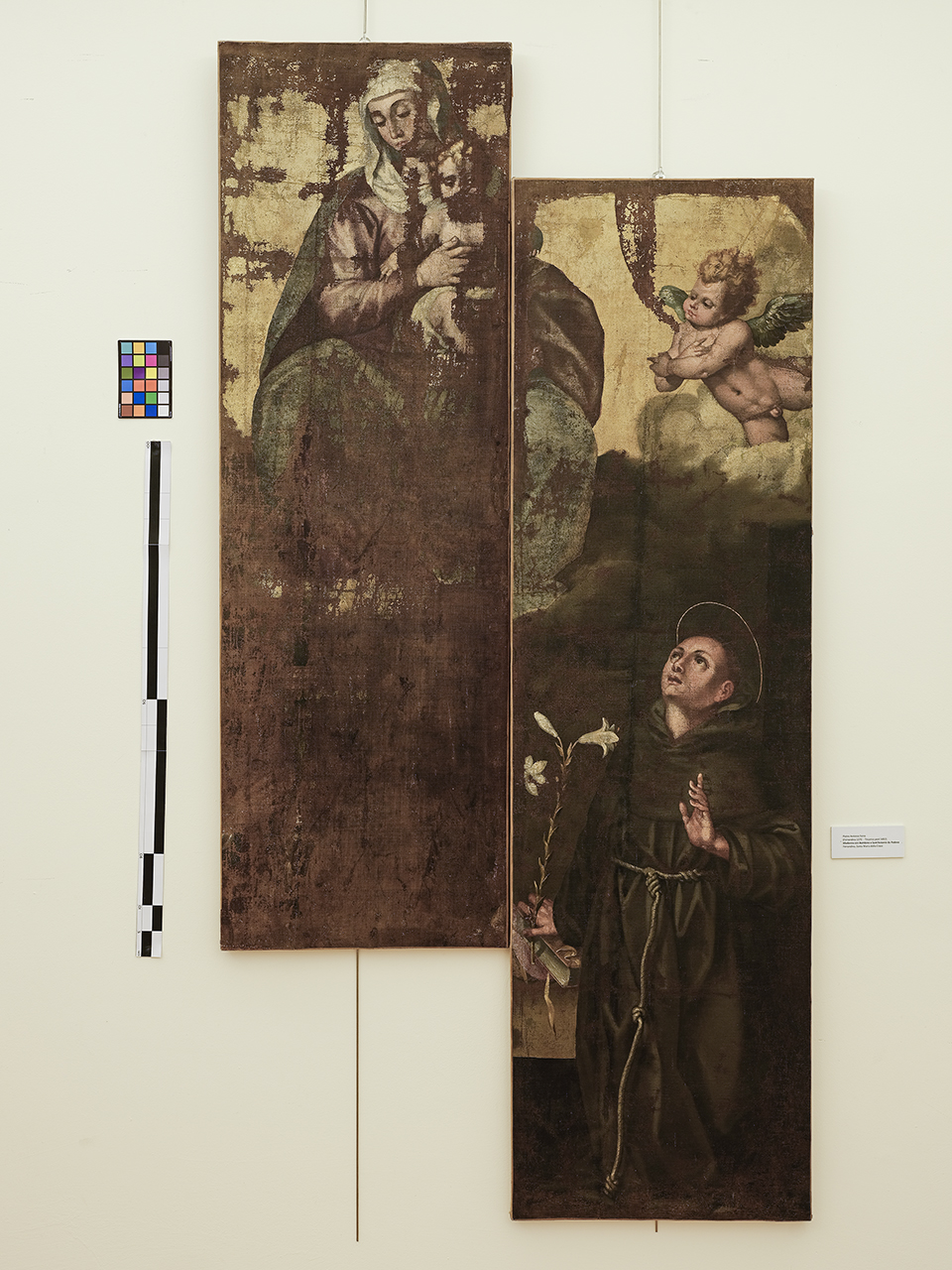 Sant'Antonio da Padova (dipinto) - ambito lucano (sec. XVII)
