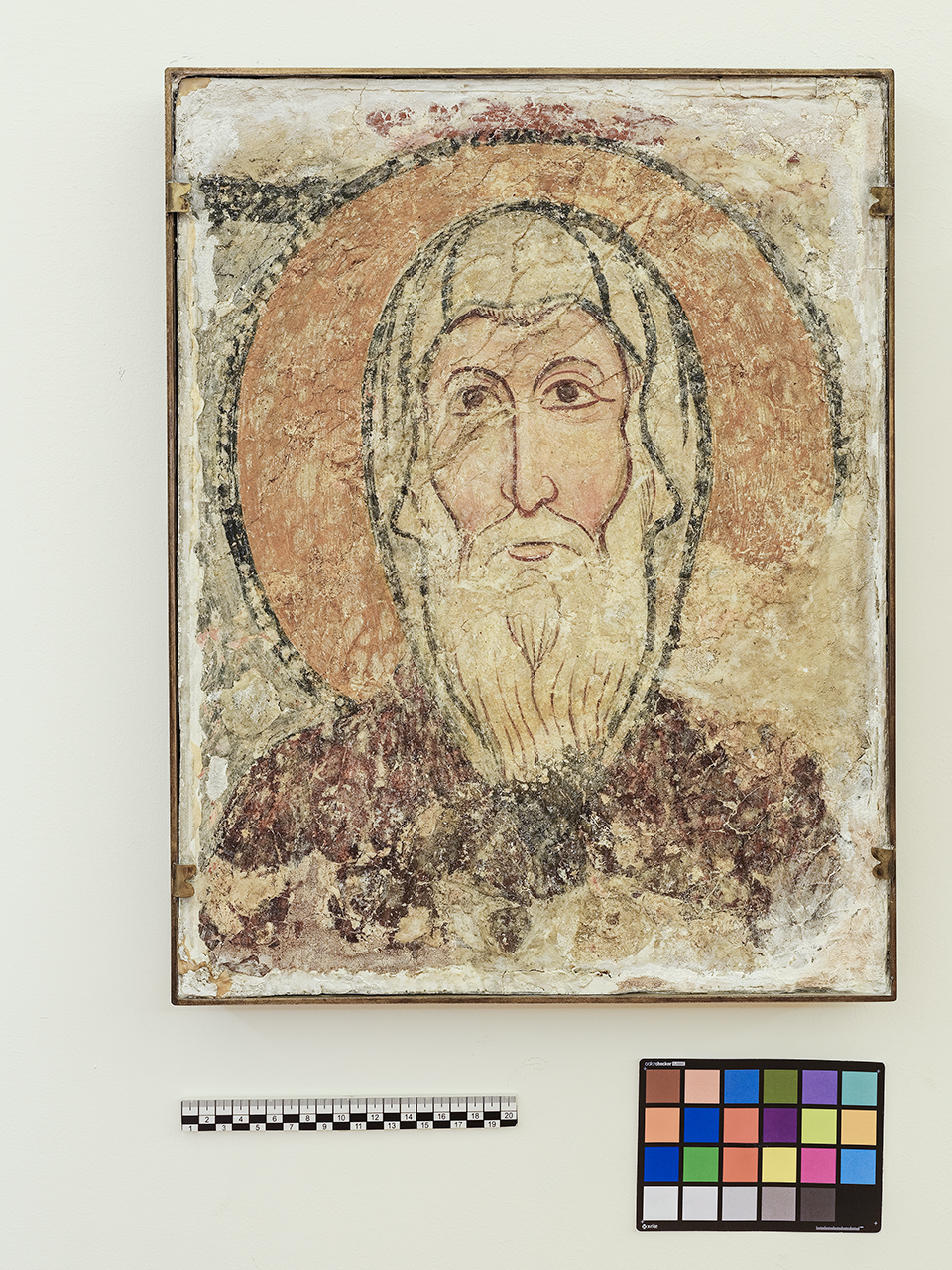 Testa di Santo monaco (dipinto, frammento) - ambito Italia meridionale (fine sec. XIII)