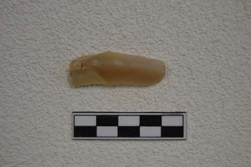 SINGOLO OGGETTO/ lama, PERIODIZZAZIONI/ PREISTORIA