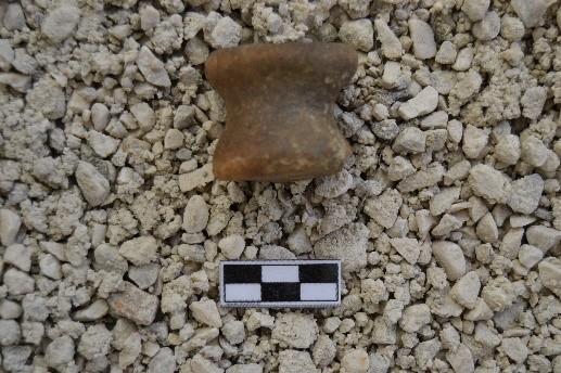 SINGOLO OGGETTO/ rocchetto, PERIODIZZAZIONI/ PROTOSTORIA/ Età del Ferro/ Prima età del Ferro