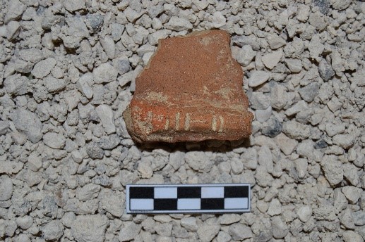 SINGOLO OGGETTO/ frammento, PERIODIZZAZIONI/ PROTOSTORIA/ Età del Ferro