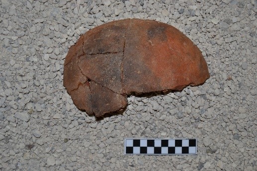 SINGOLO OGGETTO/ frammento, PERIODIZZAZIONI/ PROTOSTORIA/ Età del Ferro