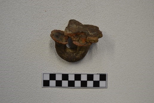 SINGOLO OGGETTO/ frammento, PERIODIZZAZIONI/ PROTOSTORIA/ Età del Ferro