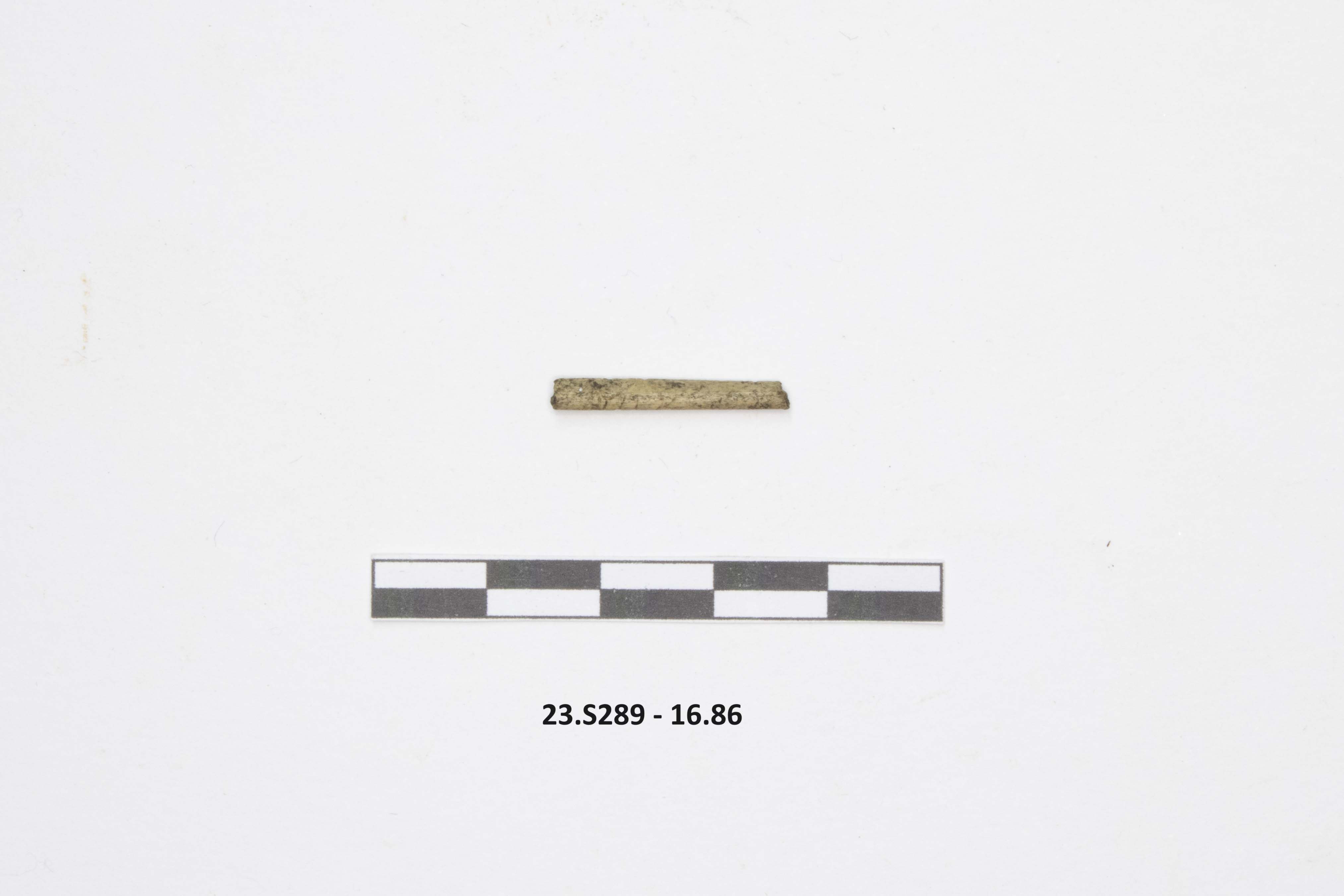 SINGOLO OGGETTO/ ago, PERIODIZZAZIONI/ STORIA/ Età antica/ Età romana