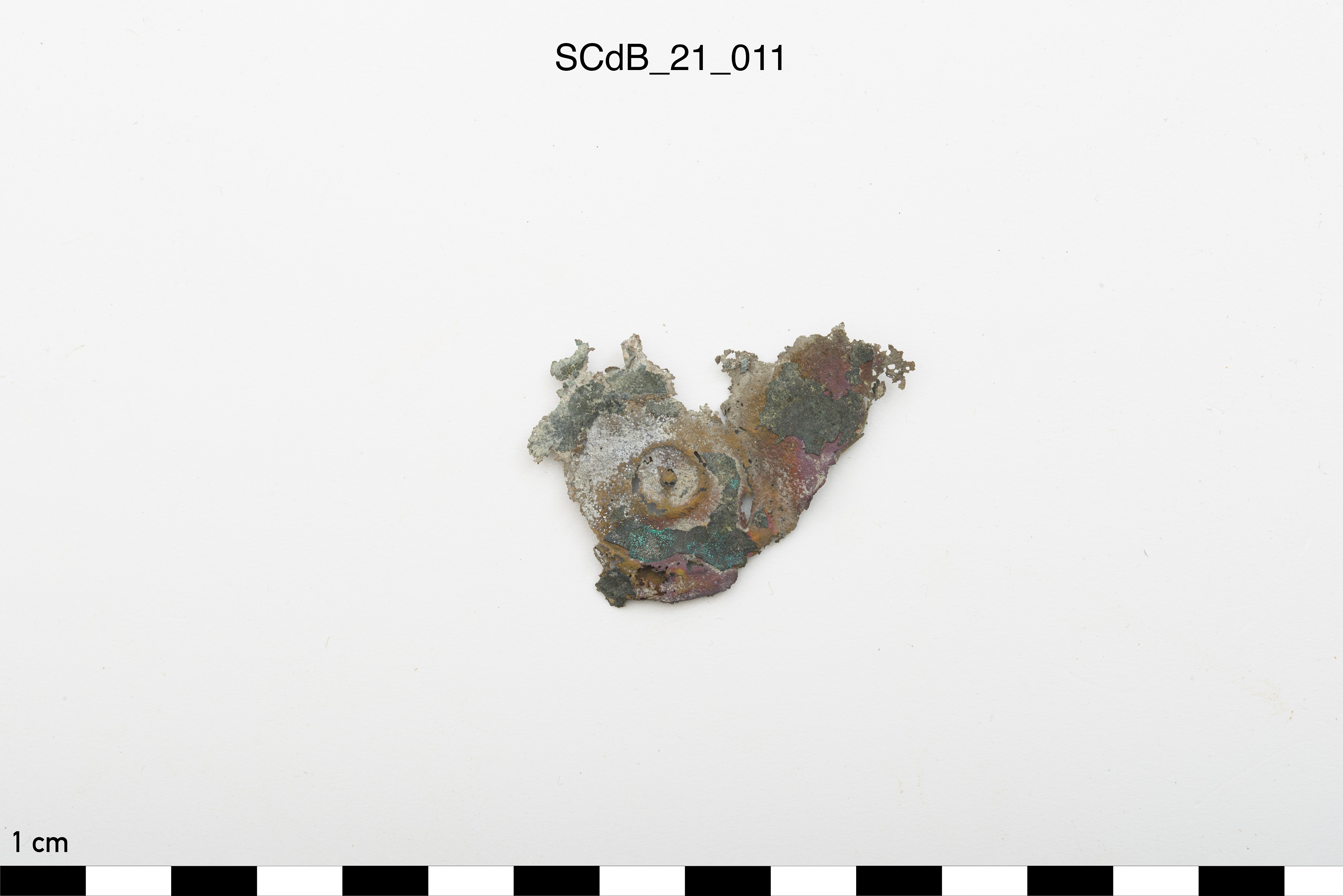 SINGOLO OGGETTO/ lamina, non determinabile