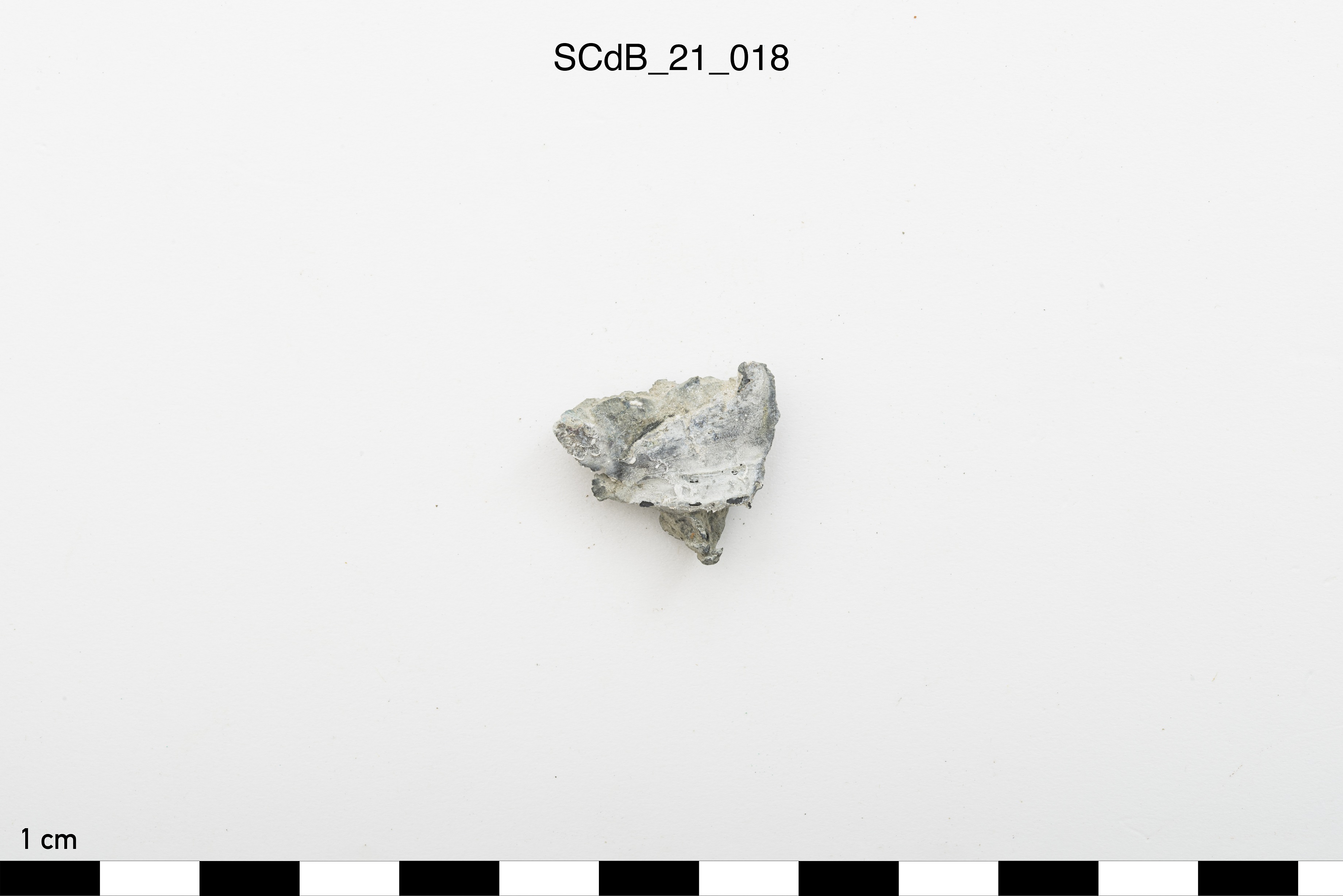 SINGOLO OGGETTO/ Aes rude/colatura?, PERIODIZZAZIONI/ STORIA/ Età etrusca - romana