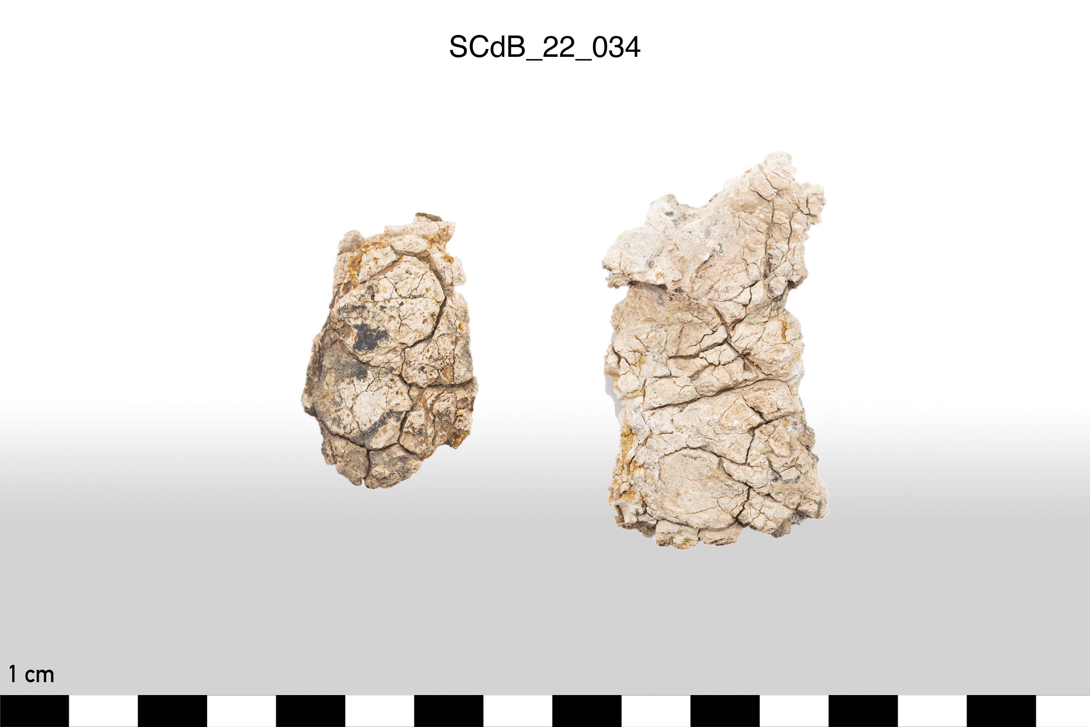 SINGOLO OGGETTO/ Aes rude/colatura?, non determinabile