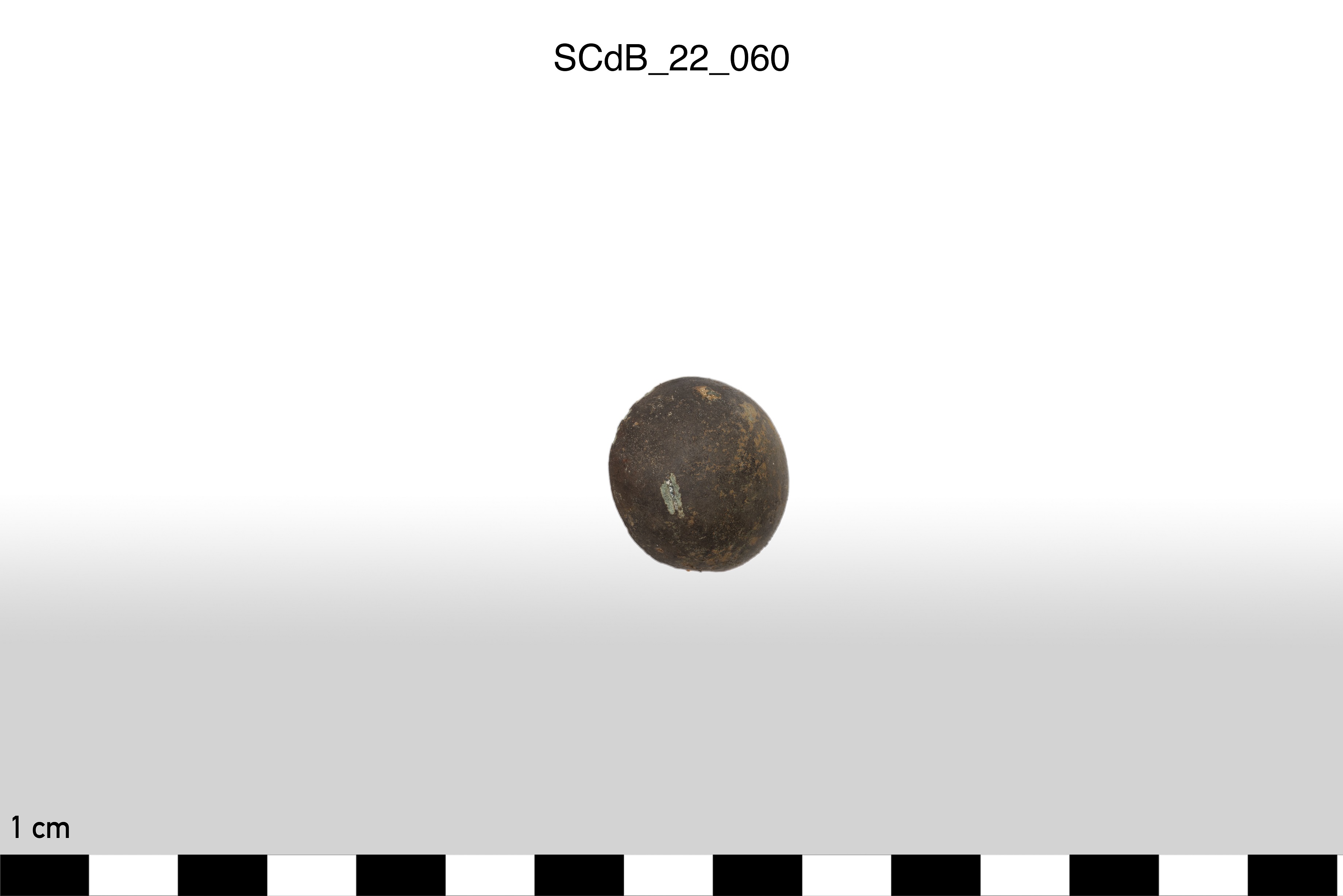 SINGOLO OGGETTO/ borchia, non determinabile