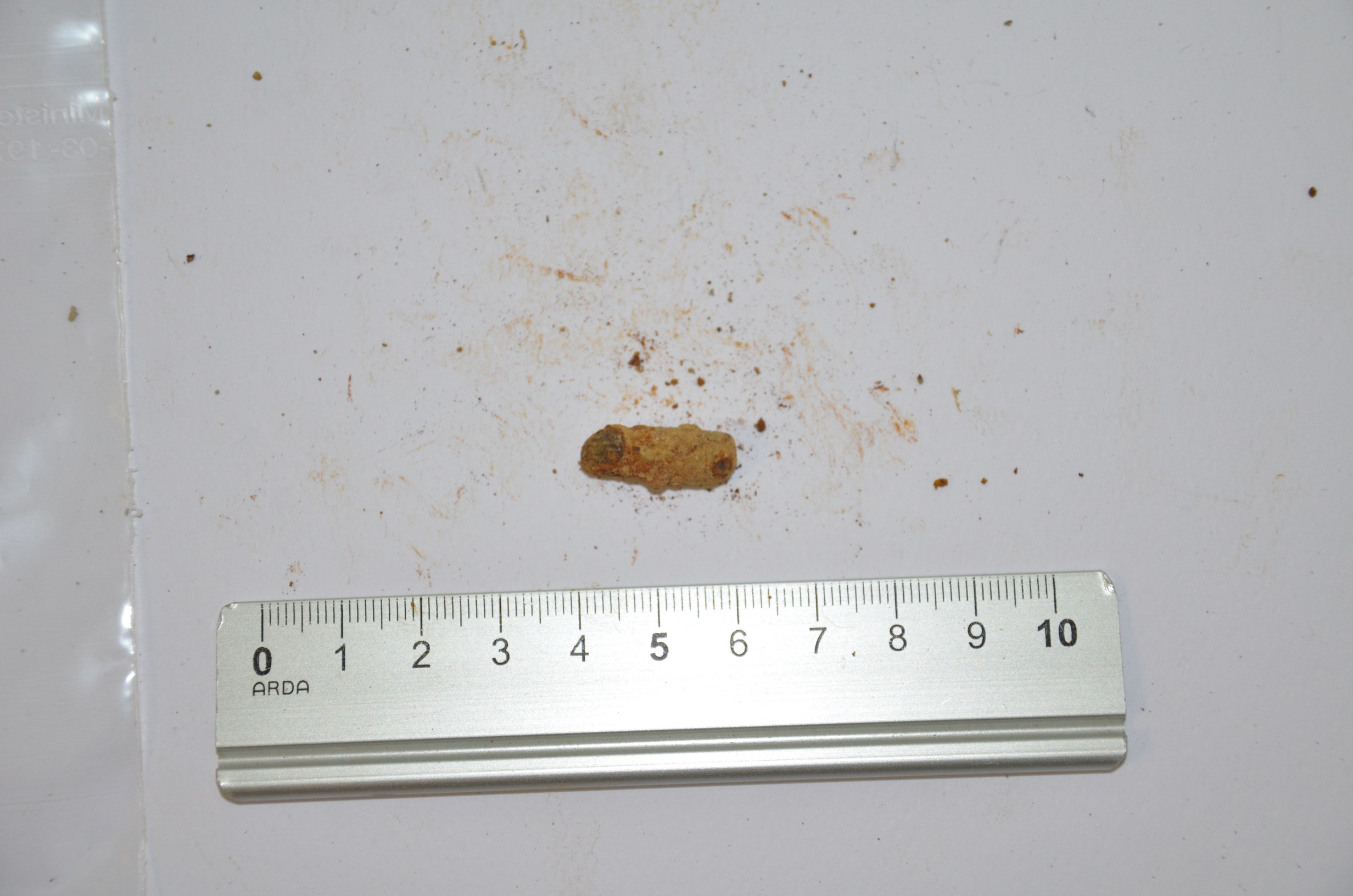 SINGOLO OGGETTO/ chiodo, non determinabile