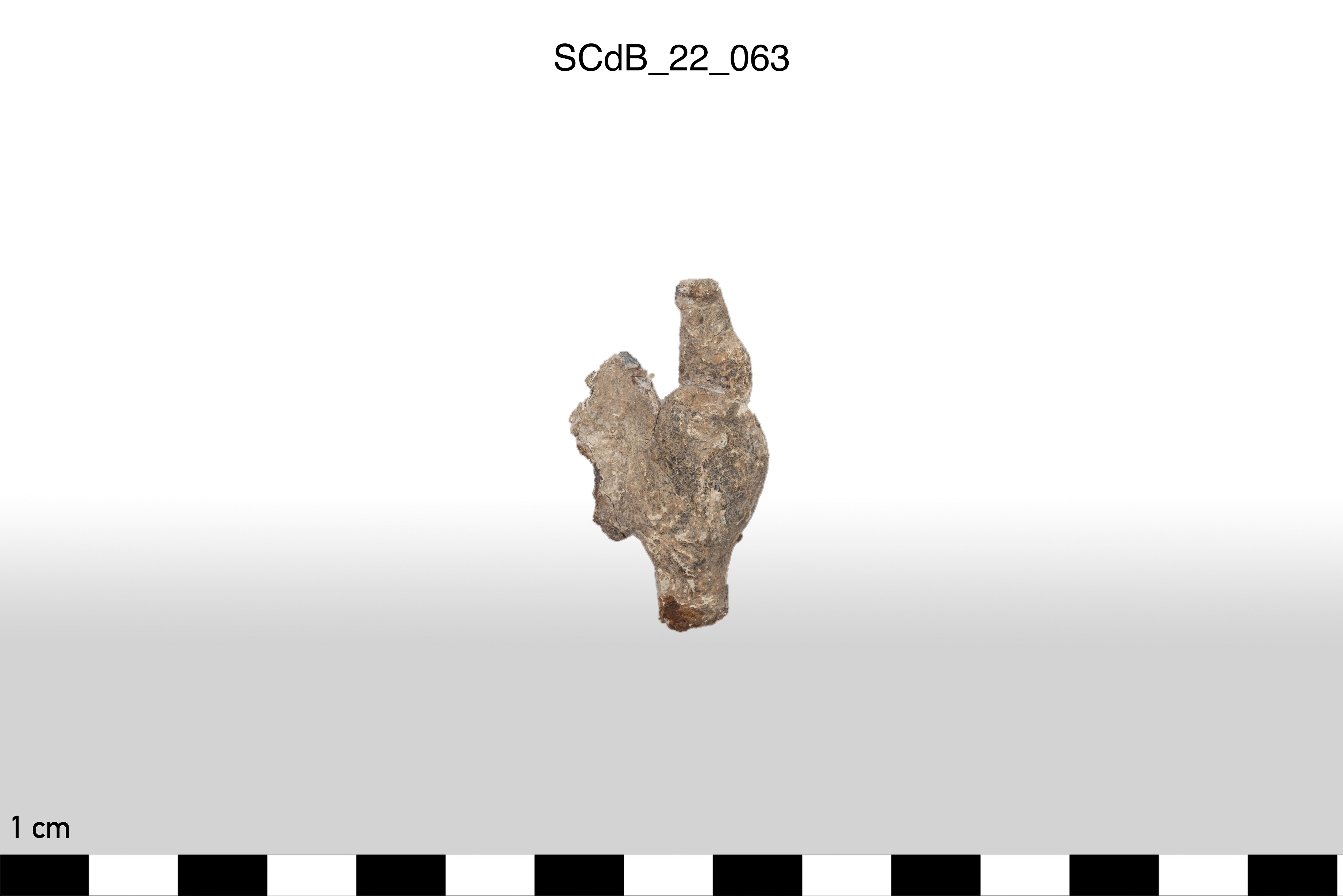 SINGOLO OGGETTO/ Aes rude/colatura?, non determinabile