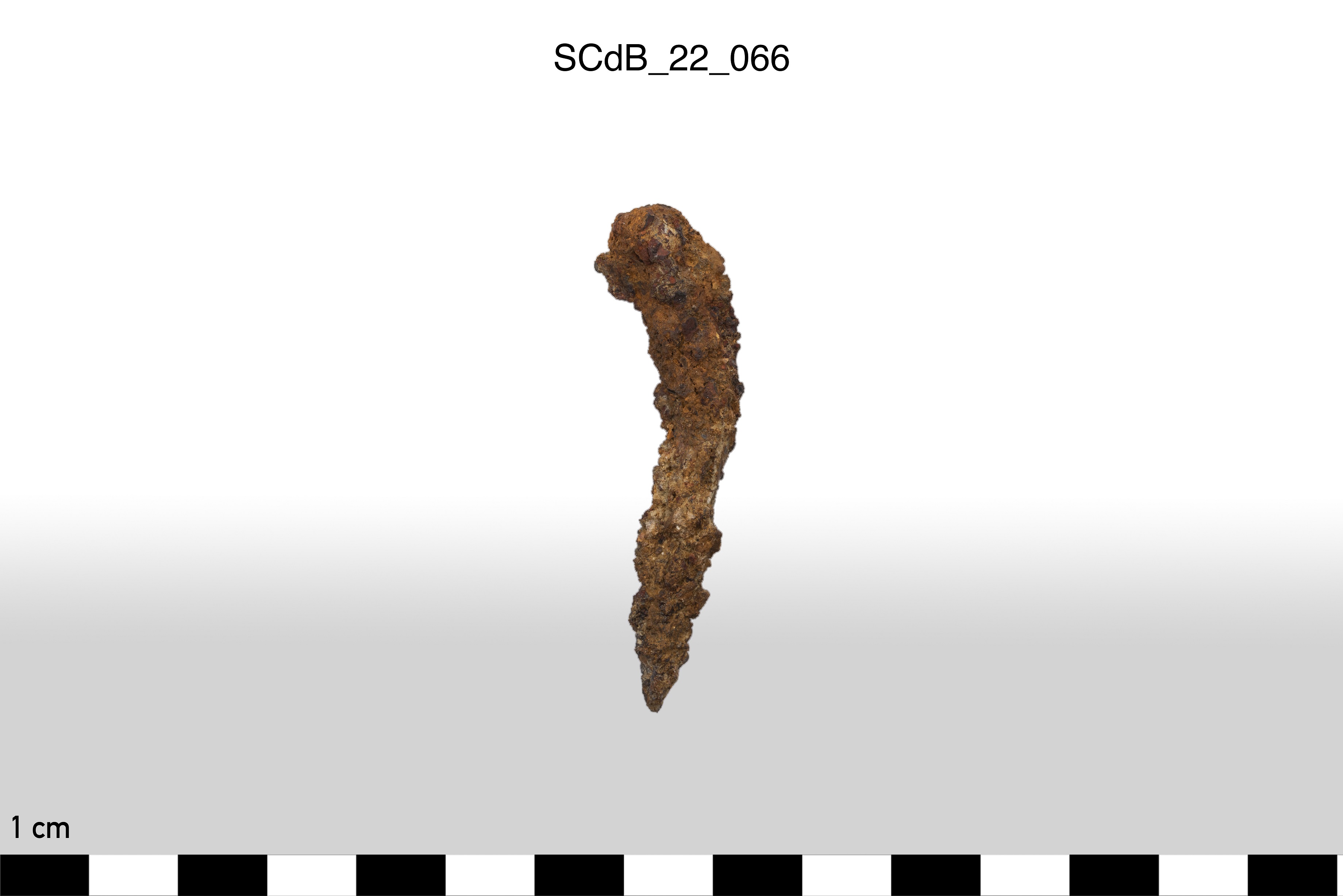 SINGOLO OGGETTO/ chiodo, non determinabile