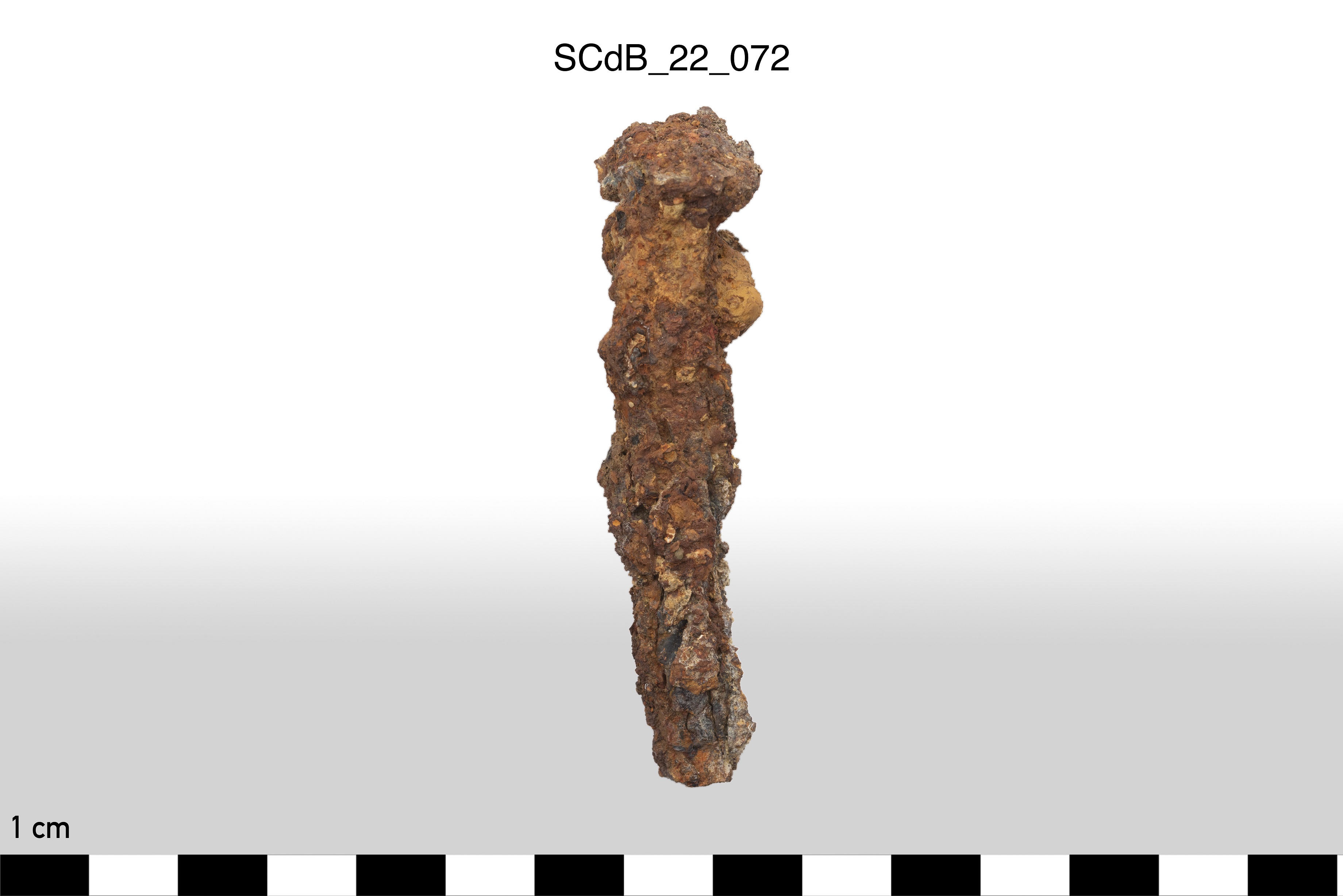 SINGOLO OGGETTO/ chiodo, non determinabile