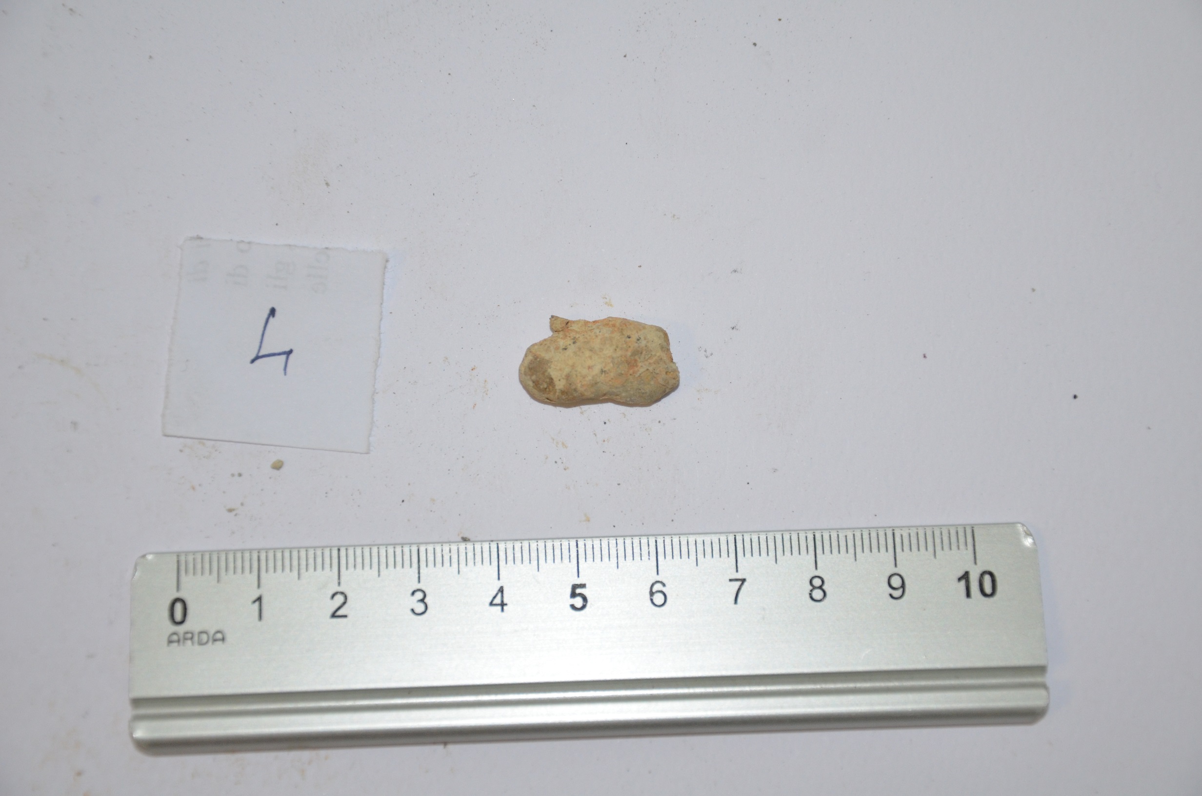 SINGOLO OGGETTO/ Aes rude/colatura?, non determinabile