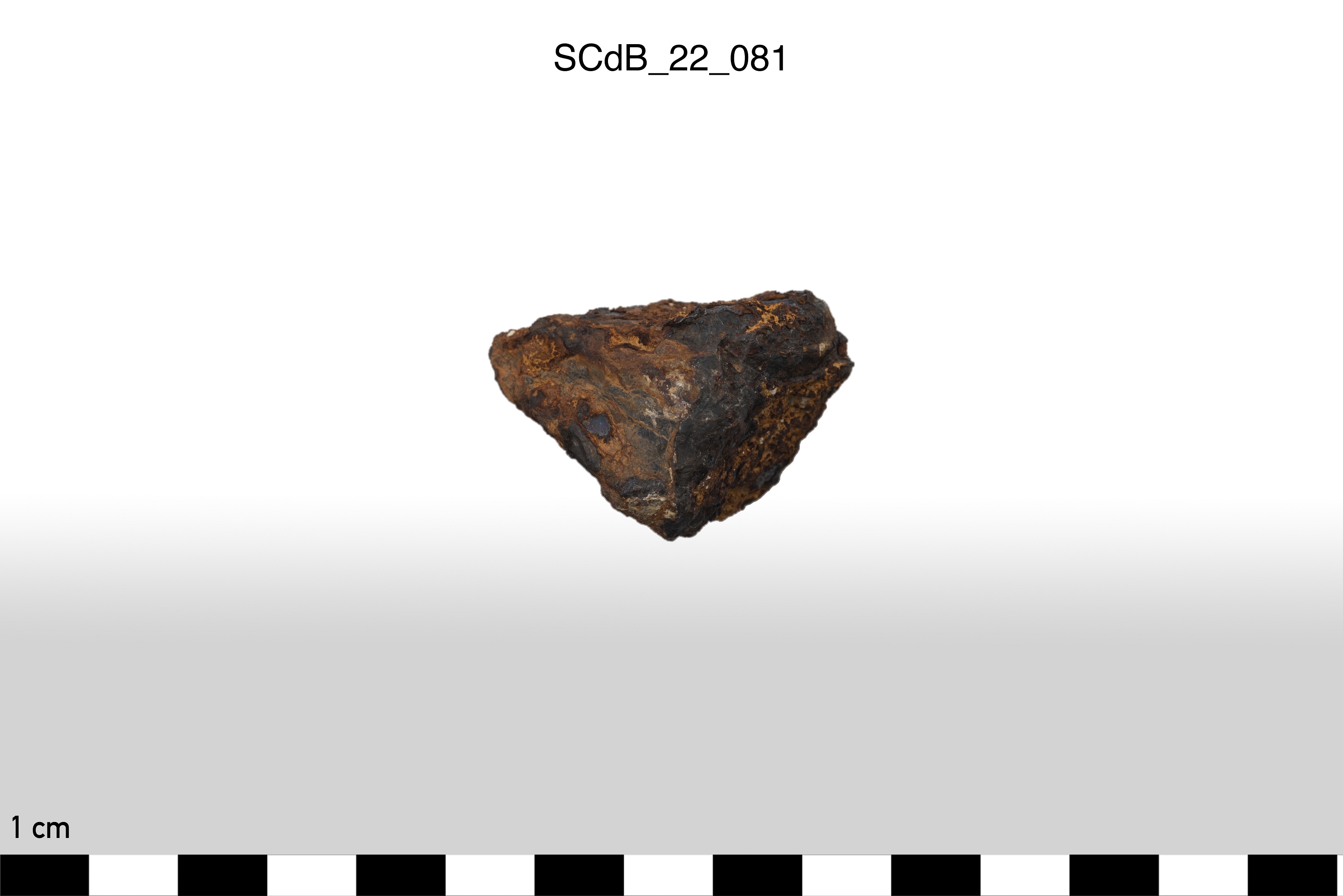 SINGOLO OGGETTO/ scarto, non determinabile