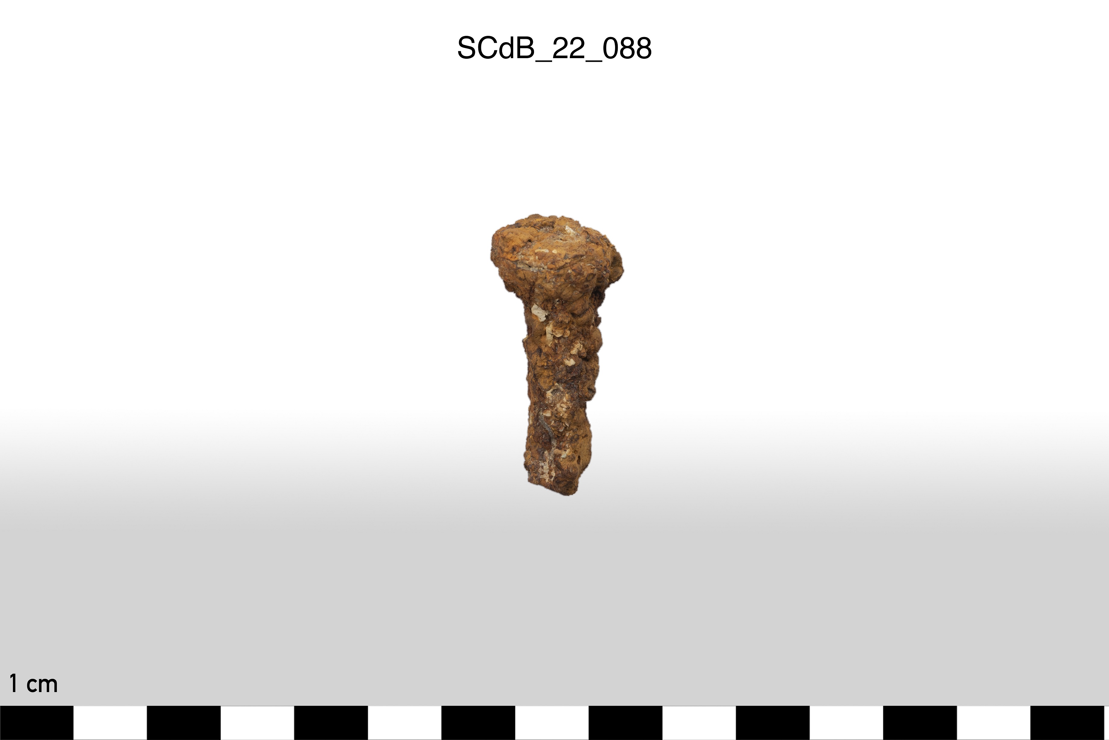 SINGOLO OGGETTO/ chiodo, non determinabile