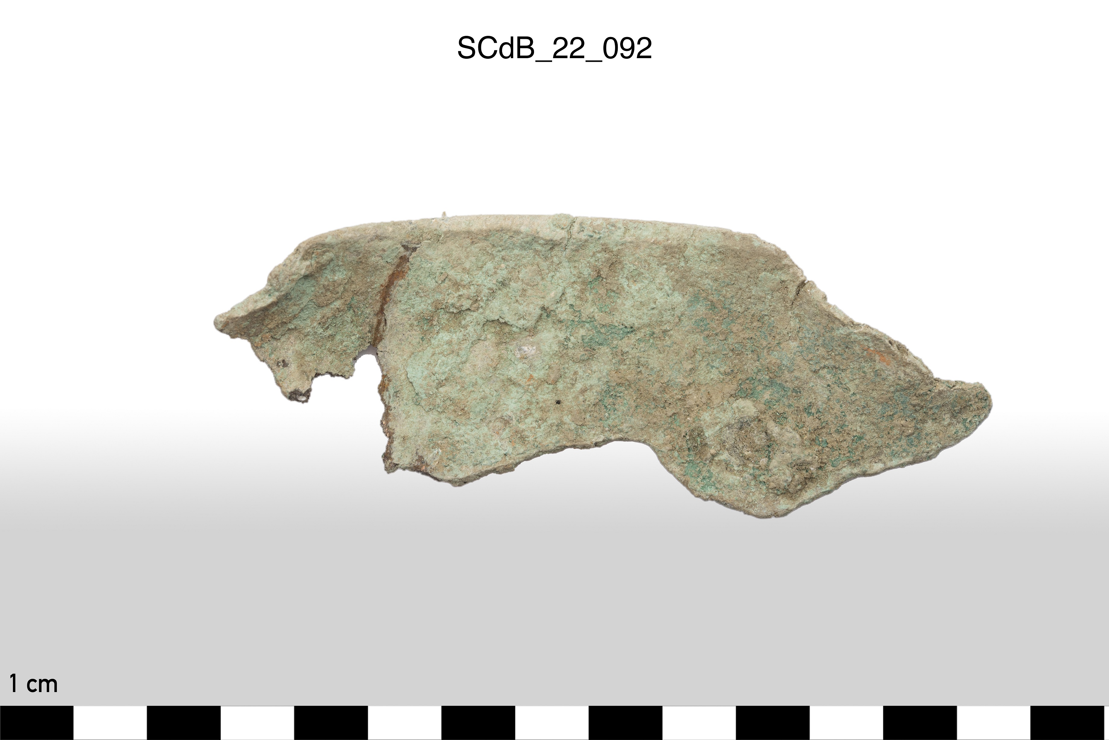 SINGOLO OGGETTO/ lamina, non determinabile