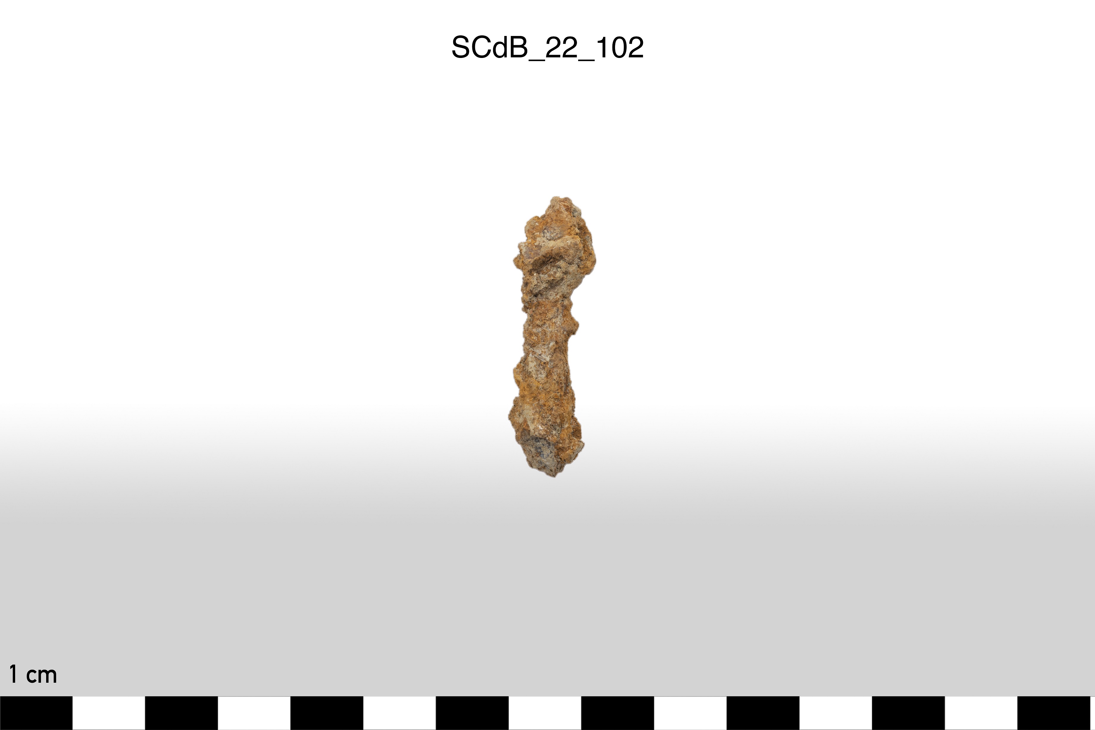 SINGOLO OGGETTO/ chiodo, non determinabile