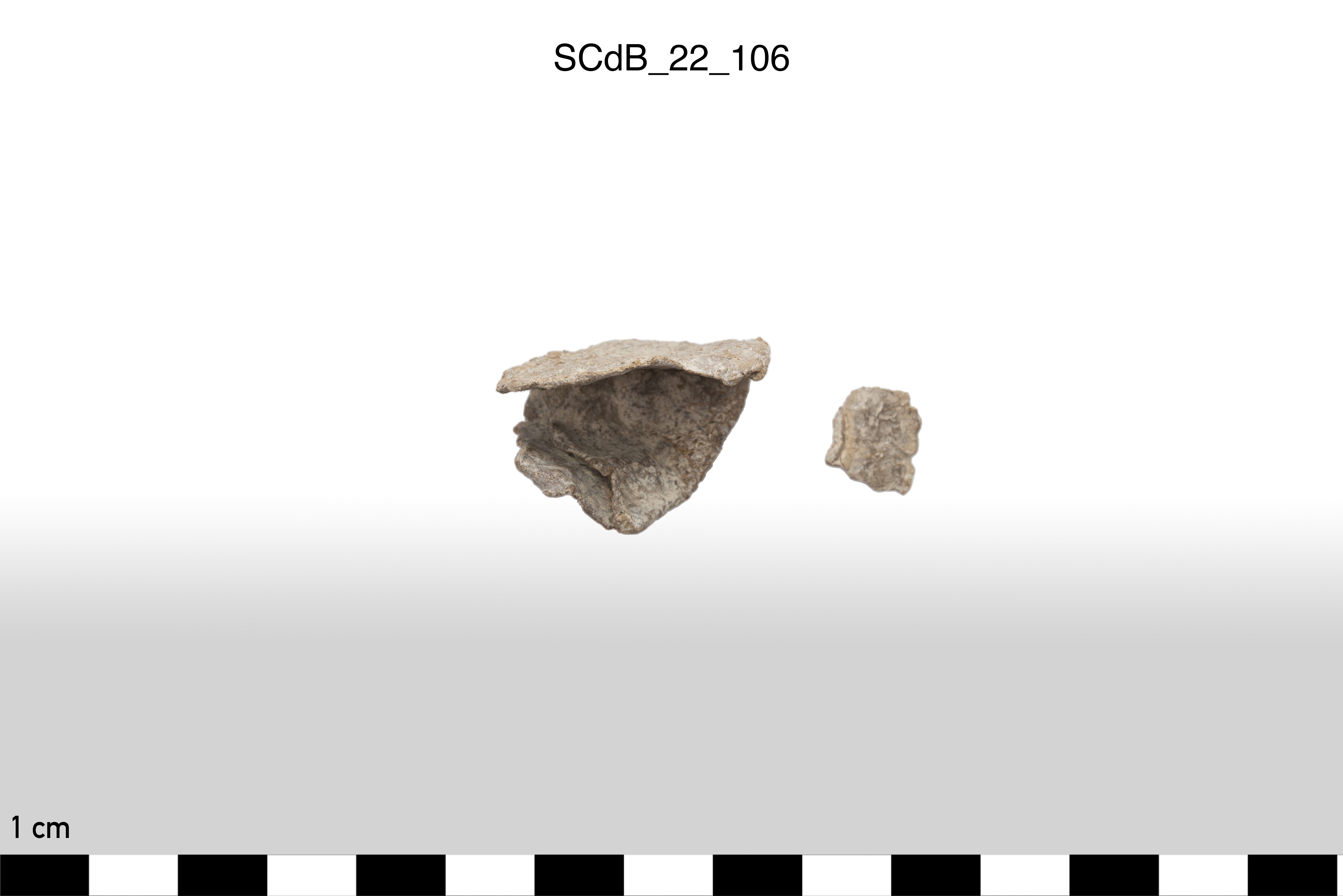 SINGOLO OGGETTO/ lamina, non determinabile