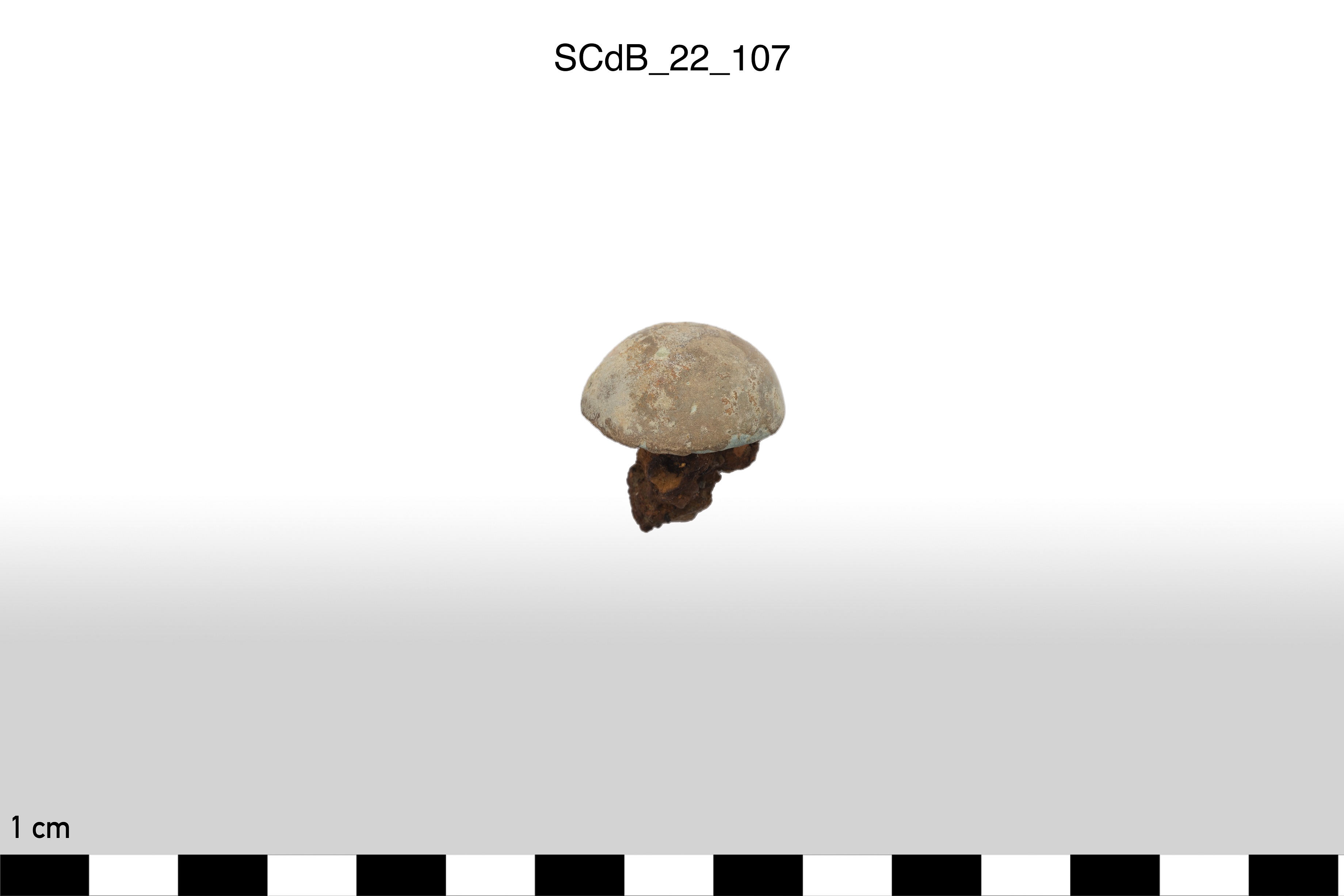 SINGOLO OGGETTO/ borchia, non determinabile