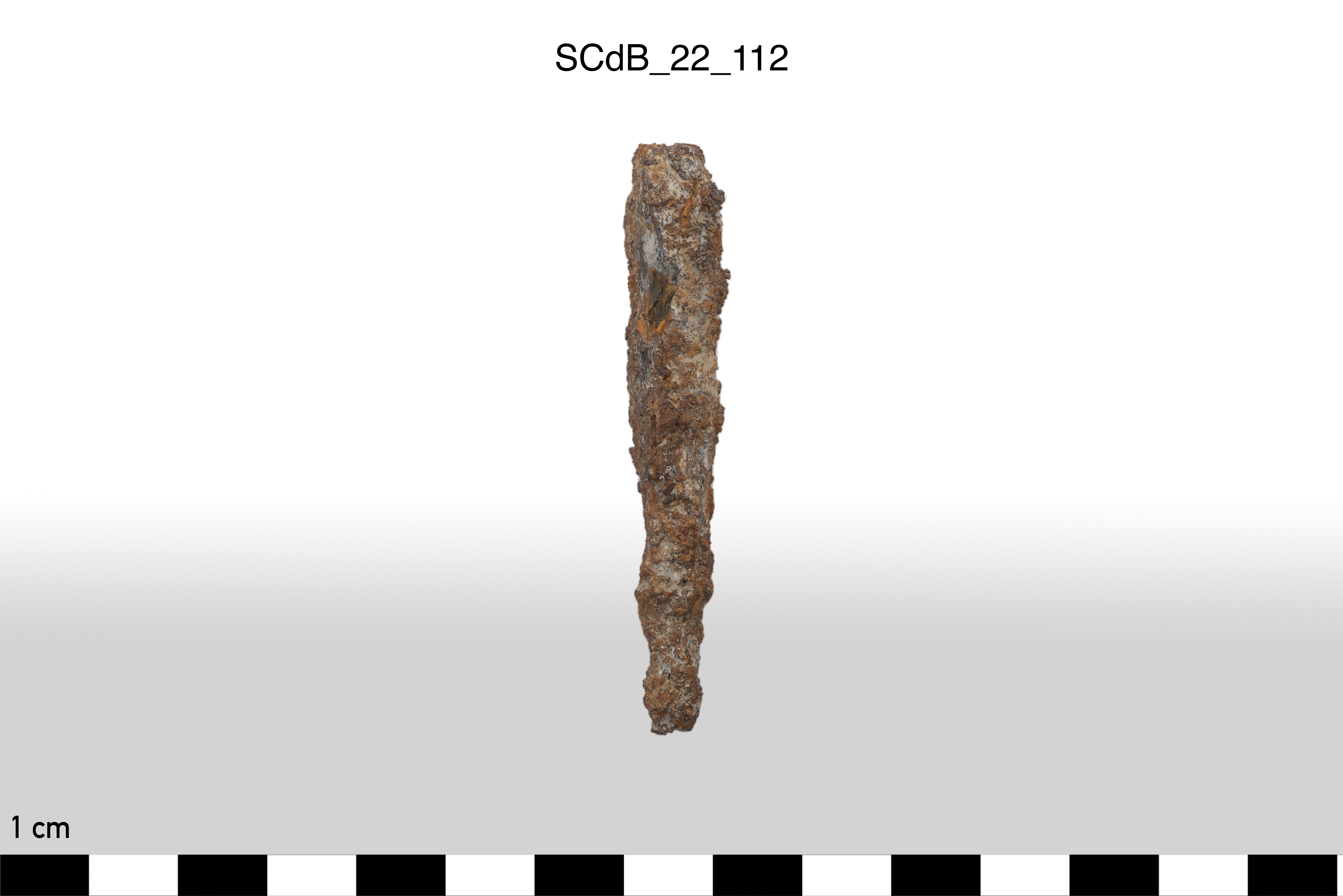 SINGOLO OGGETTO/ chiodo, non determinabile