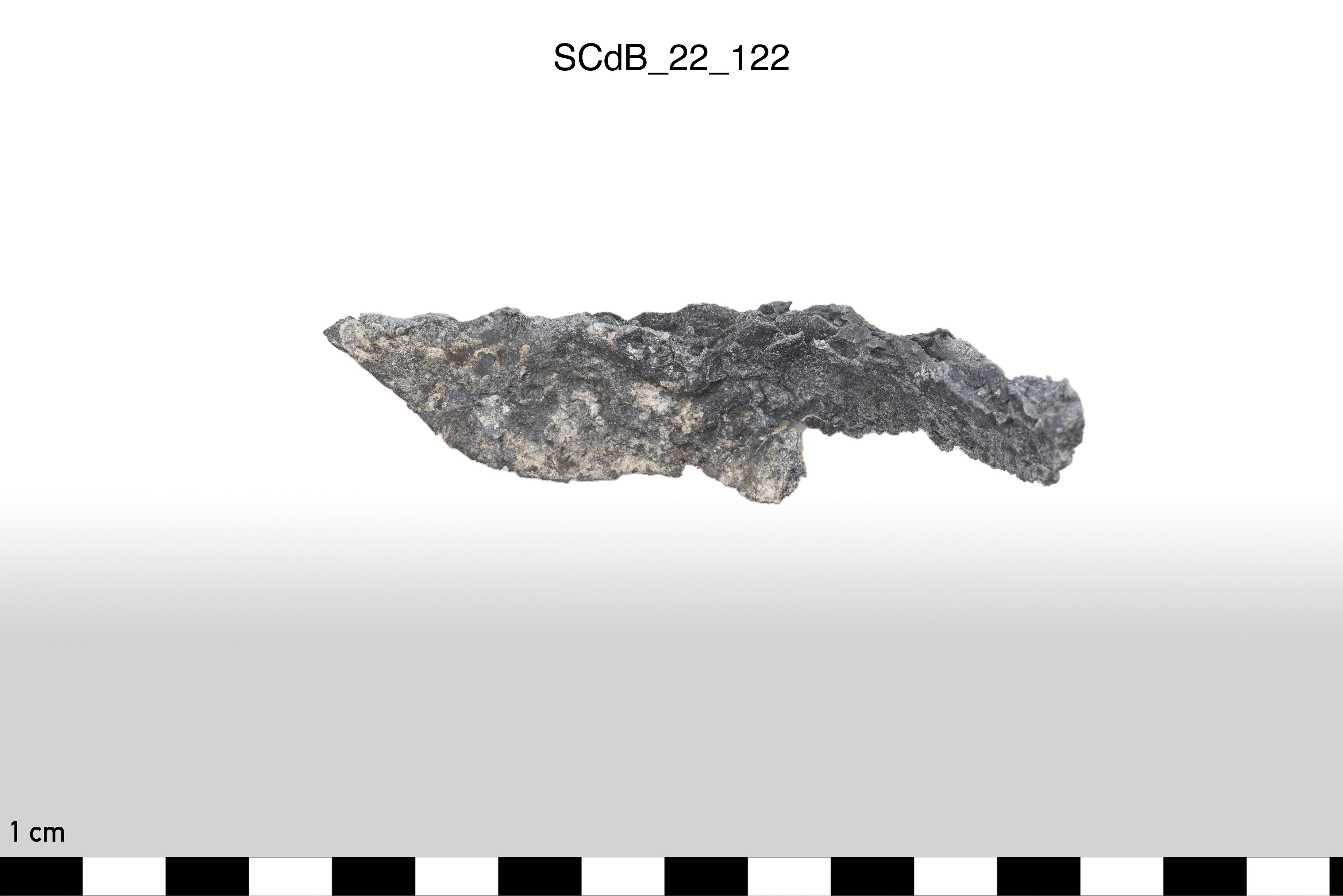 SINGOLO OGGETTO/ Aes rude/colatura?, non determinabile