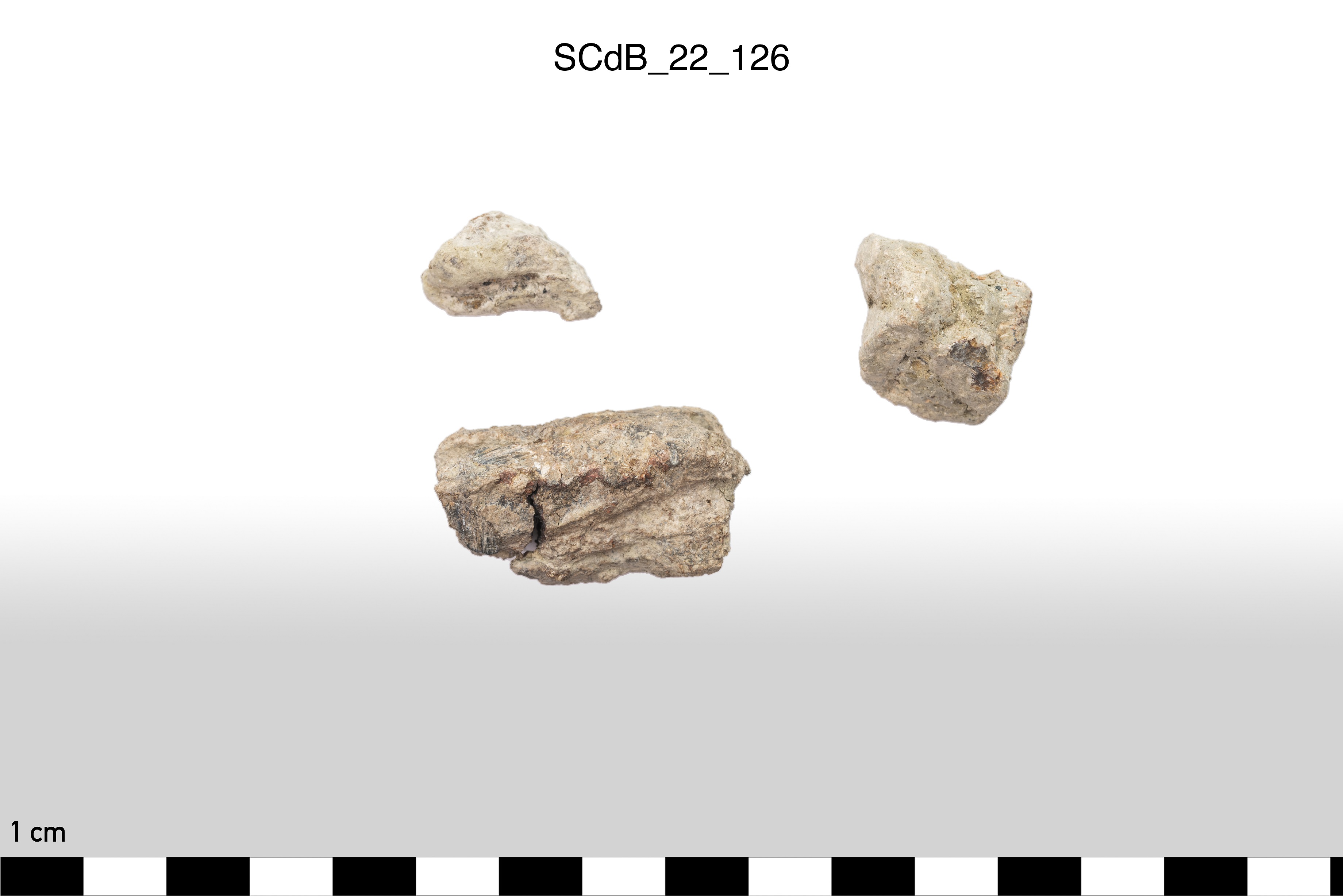 SINGOLO OGGETTO/ Aes rude/colatura?, non determinabile