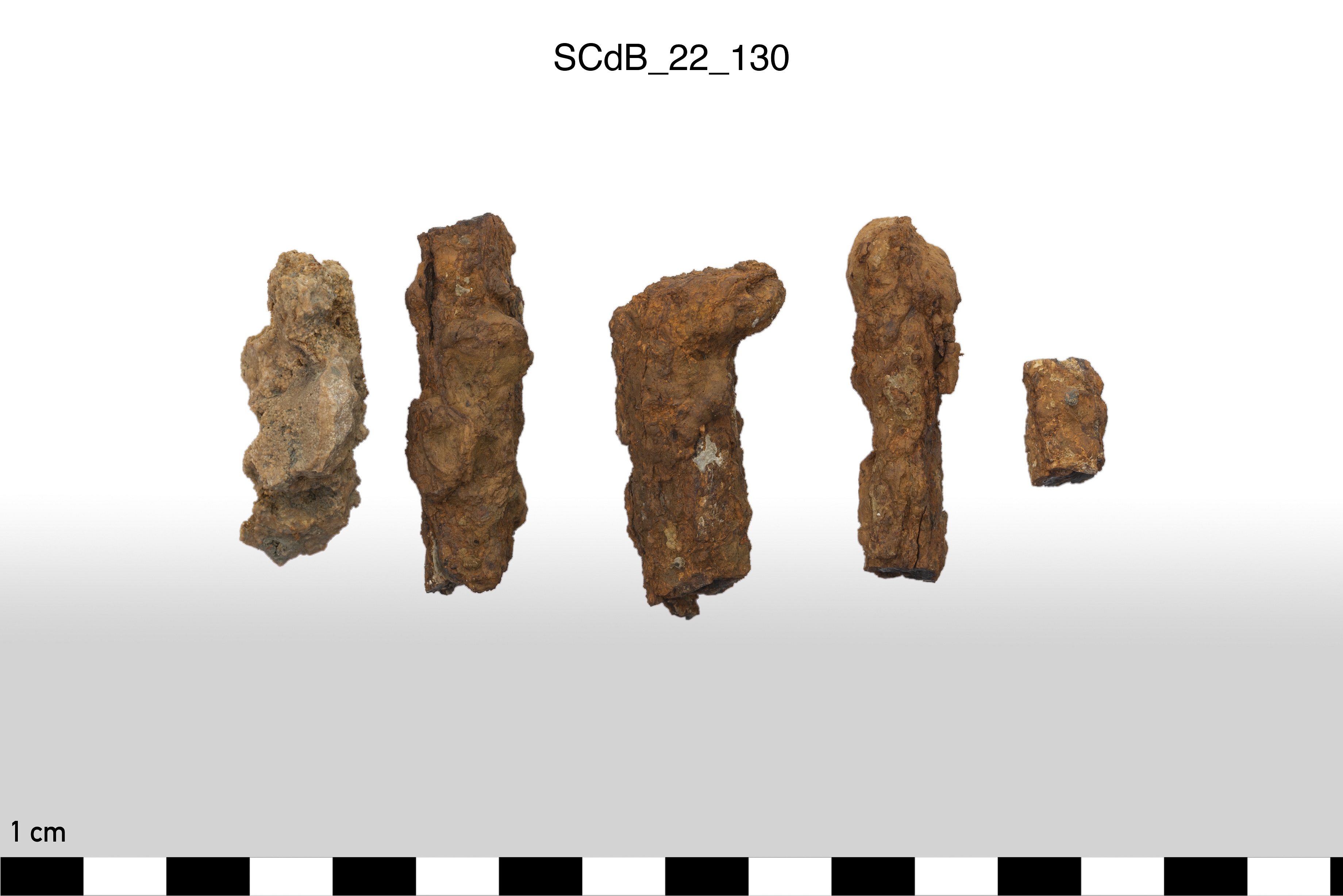 SINGOLO OGGETTO/ chiodo, non determinabile