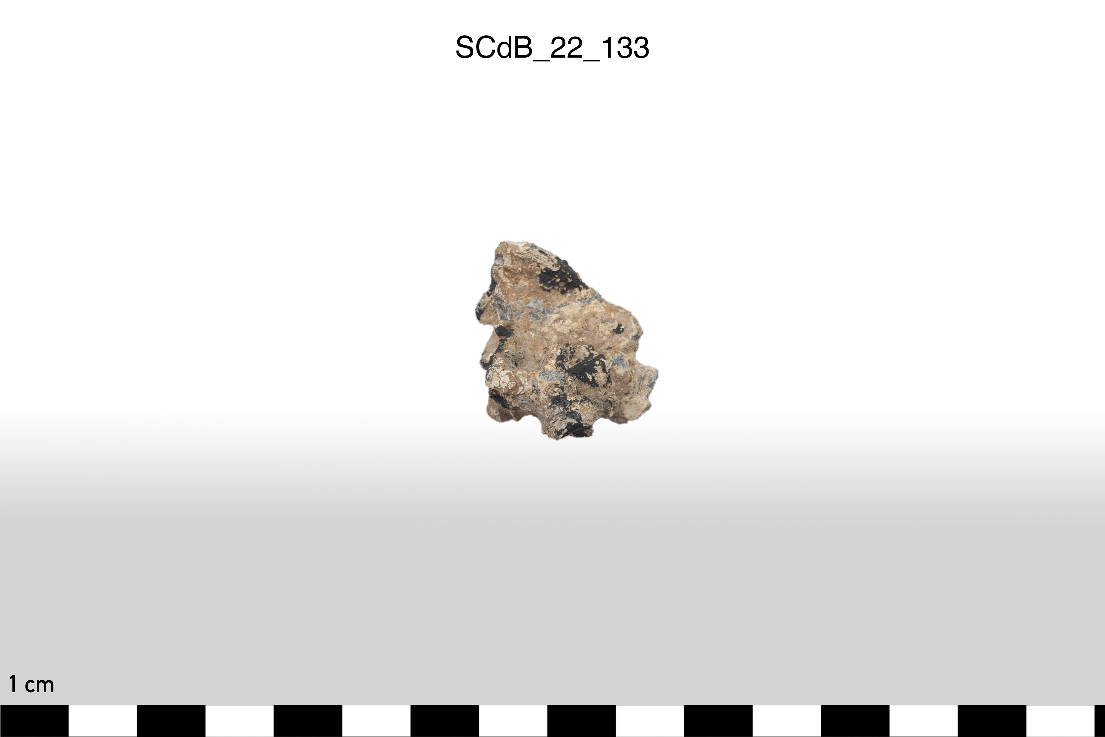 SINGOLO OGGETTO/ Aes rude/colatura?, non determinabile