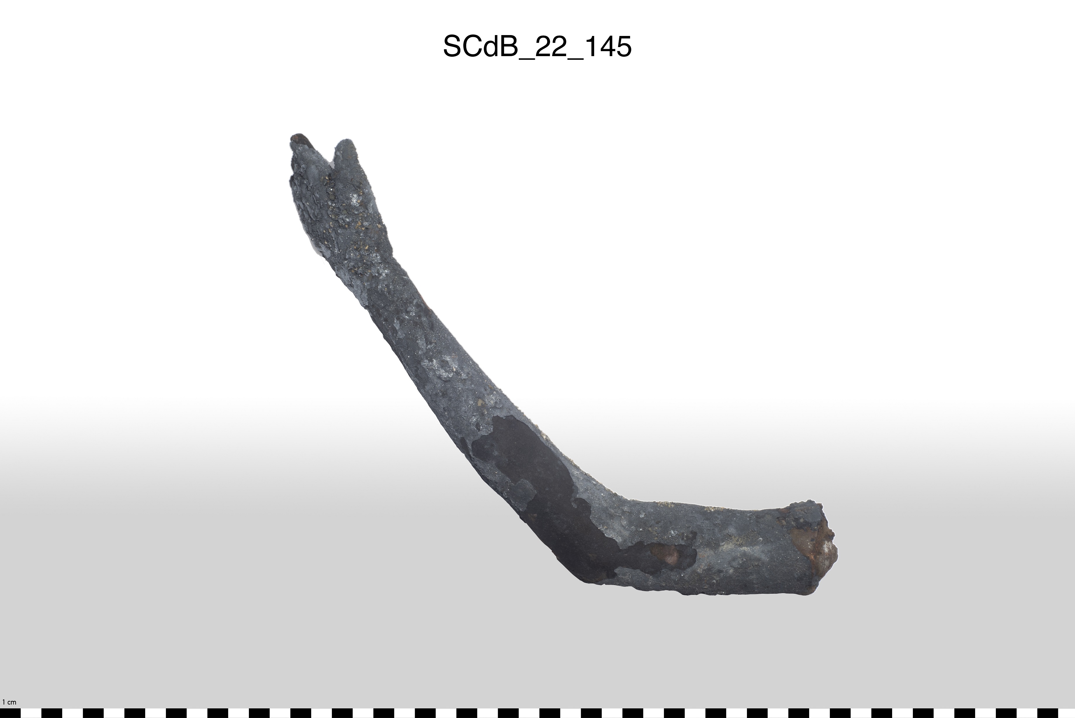 SINGOLO OGGETTO/ ex voto, PERIODIZZAZIONI/ STORIA/ Età etrusca - romana