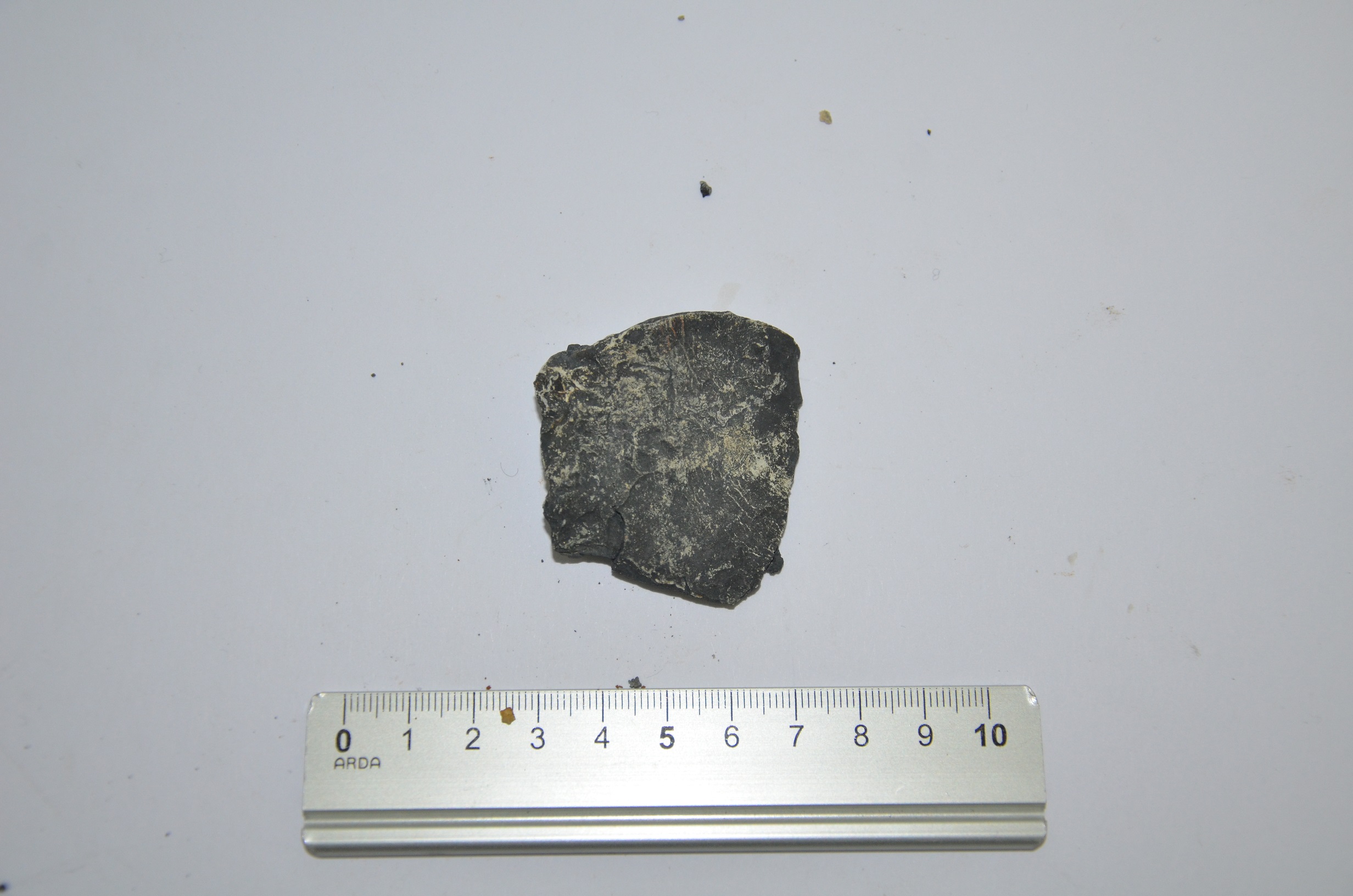 SINGOLO OGGETTO/ tassello, PERIODIZZAZIONI/ STORIA/ Età etrusca - romana