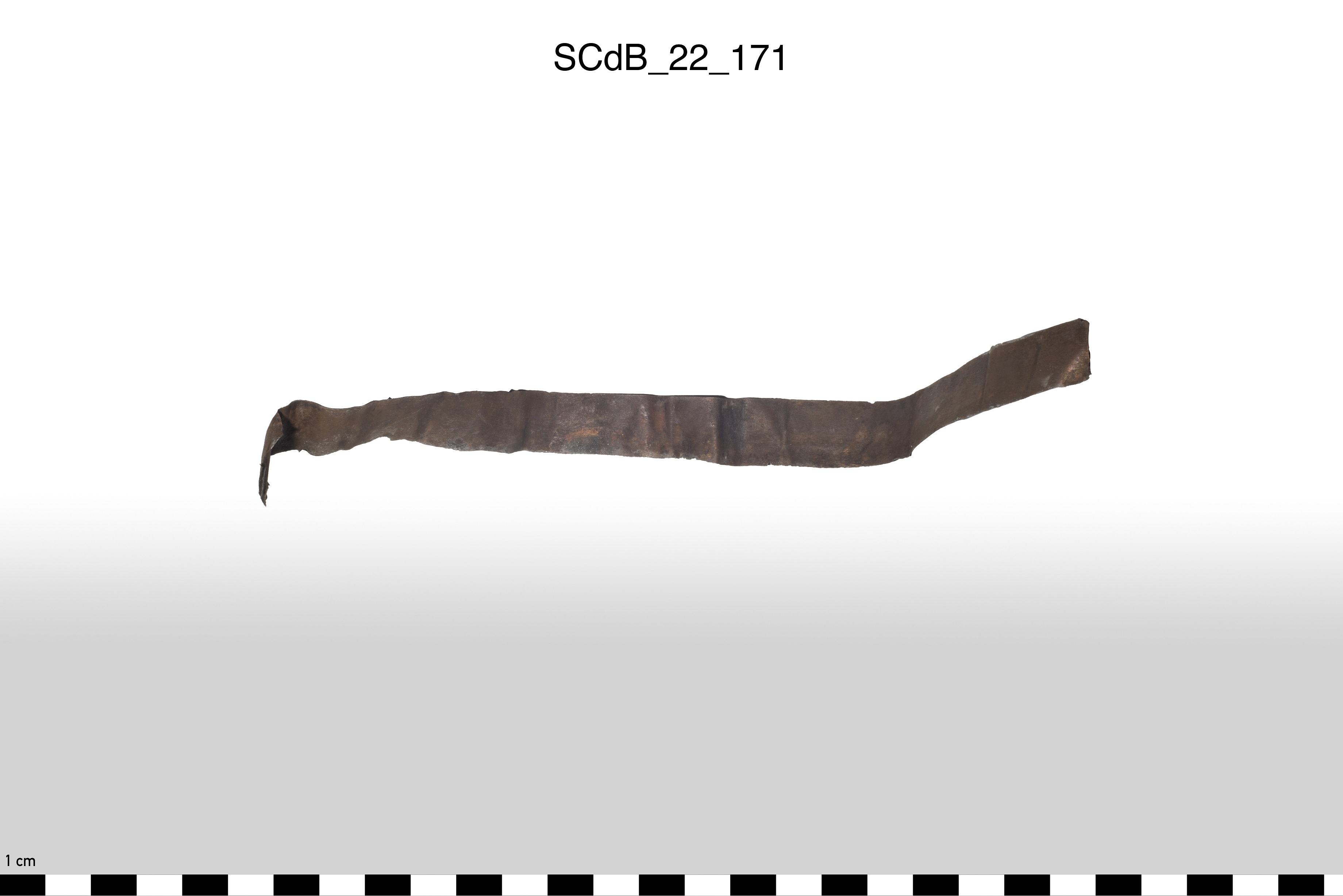 SINGOLO OGGETTO/ lamina, PERIODIZZAZIONI/ STORIA/ Età etrusca - romana