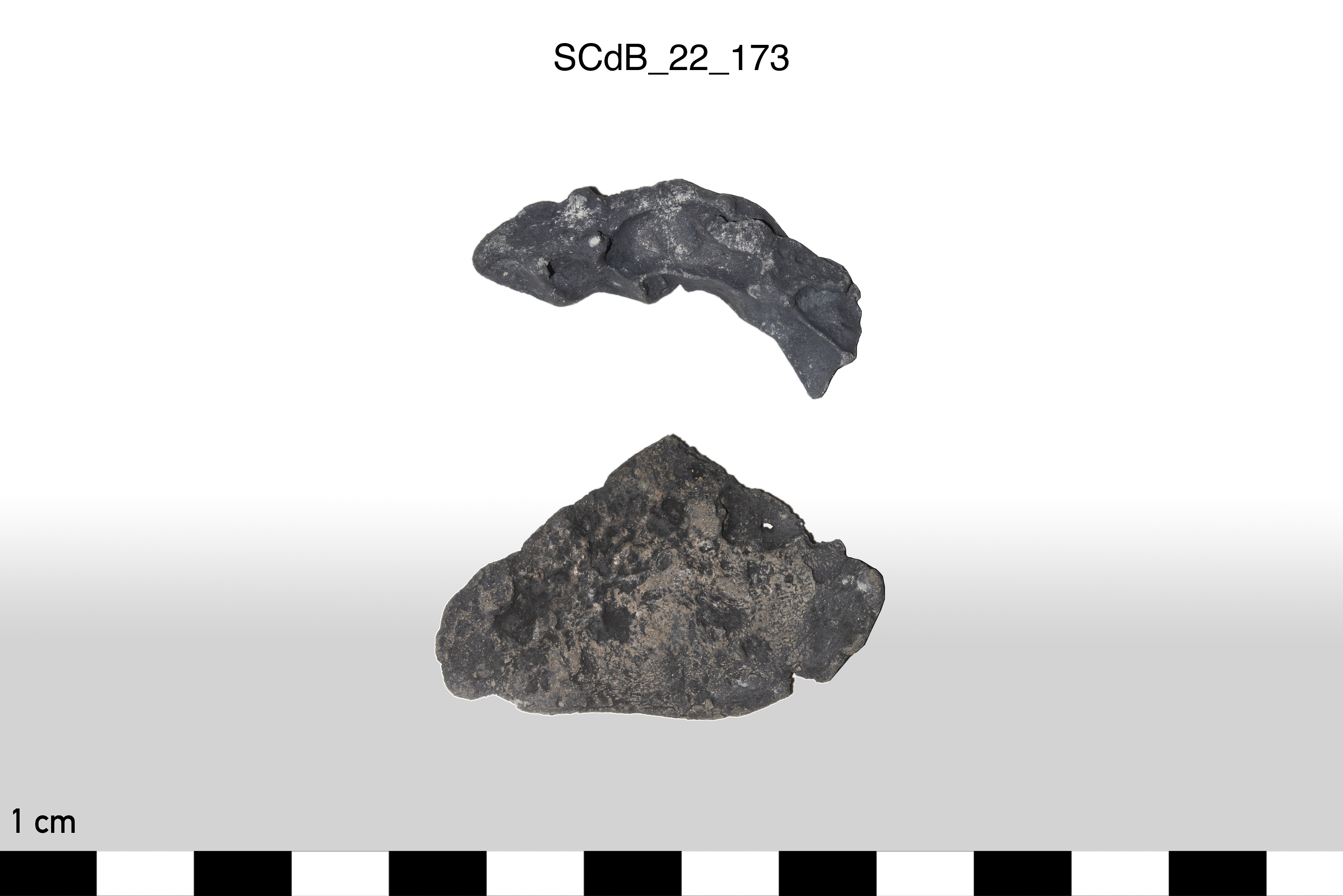 SINGOLO OGGETTO/ Aes rude/colatura?, PERIODIZZAZIONI/ STORIA/ Età etrusca - romana