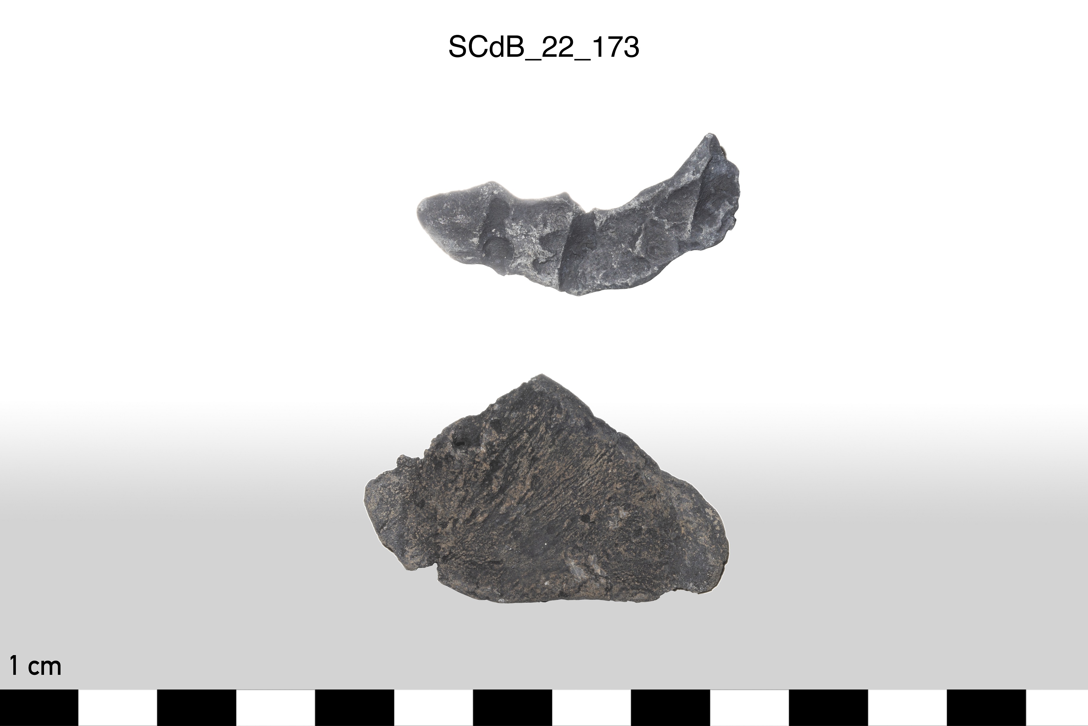 SINGOLO OGGETTO/ lamina, PERIODIZZAZIONI/ STORIA/ Età etrusca - romana