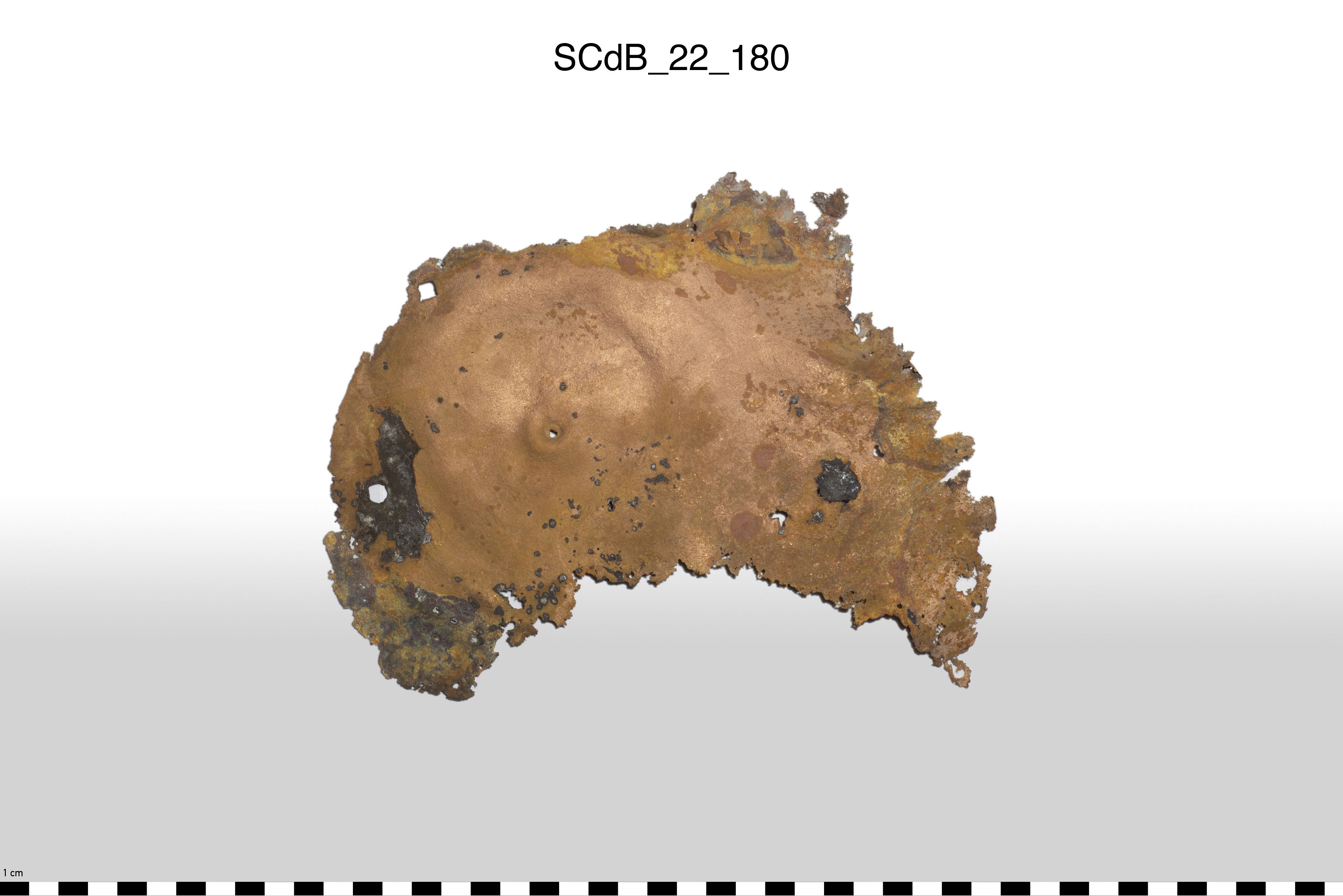 SINGOLO OGGETTO/ lamina, PERIODIZZAZIONI/ STORIA/ Età etrusca - romana