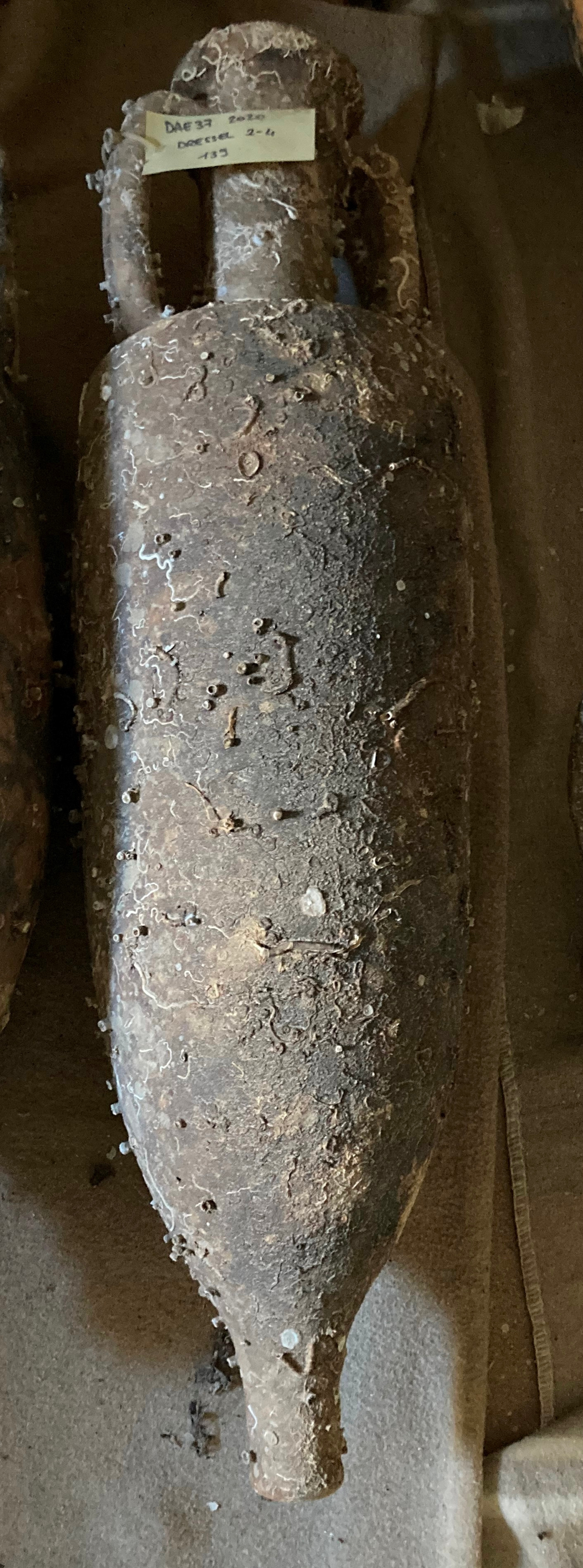 SINGOLO OGGETTO/ anfora, I a.C, I d.C