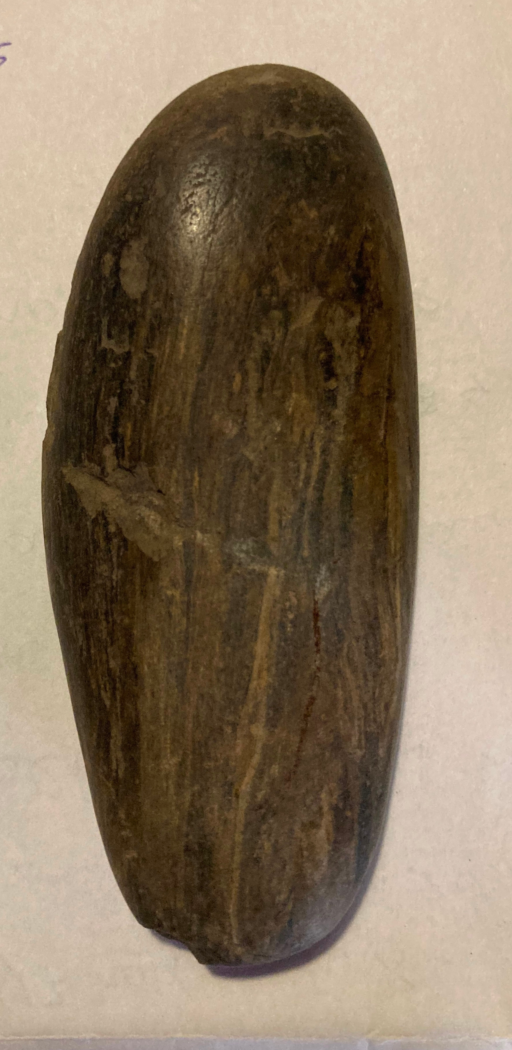 SINGOLO OGGETTO/ lisciatoio, PERIODIZZAZIONI/ PREISTORIA