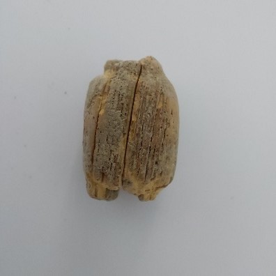 SINGOLO OGGETTO, SECOLI/ VI a.C