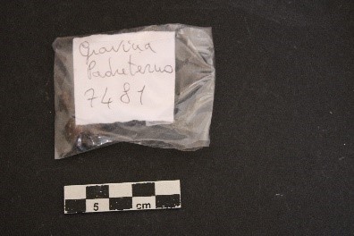 SINGOLO OGGETTO, SECOLI/ VI a.C