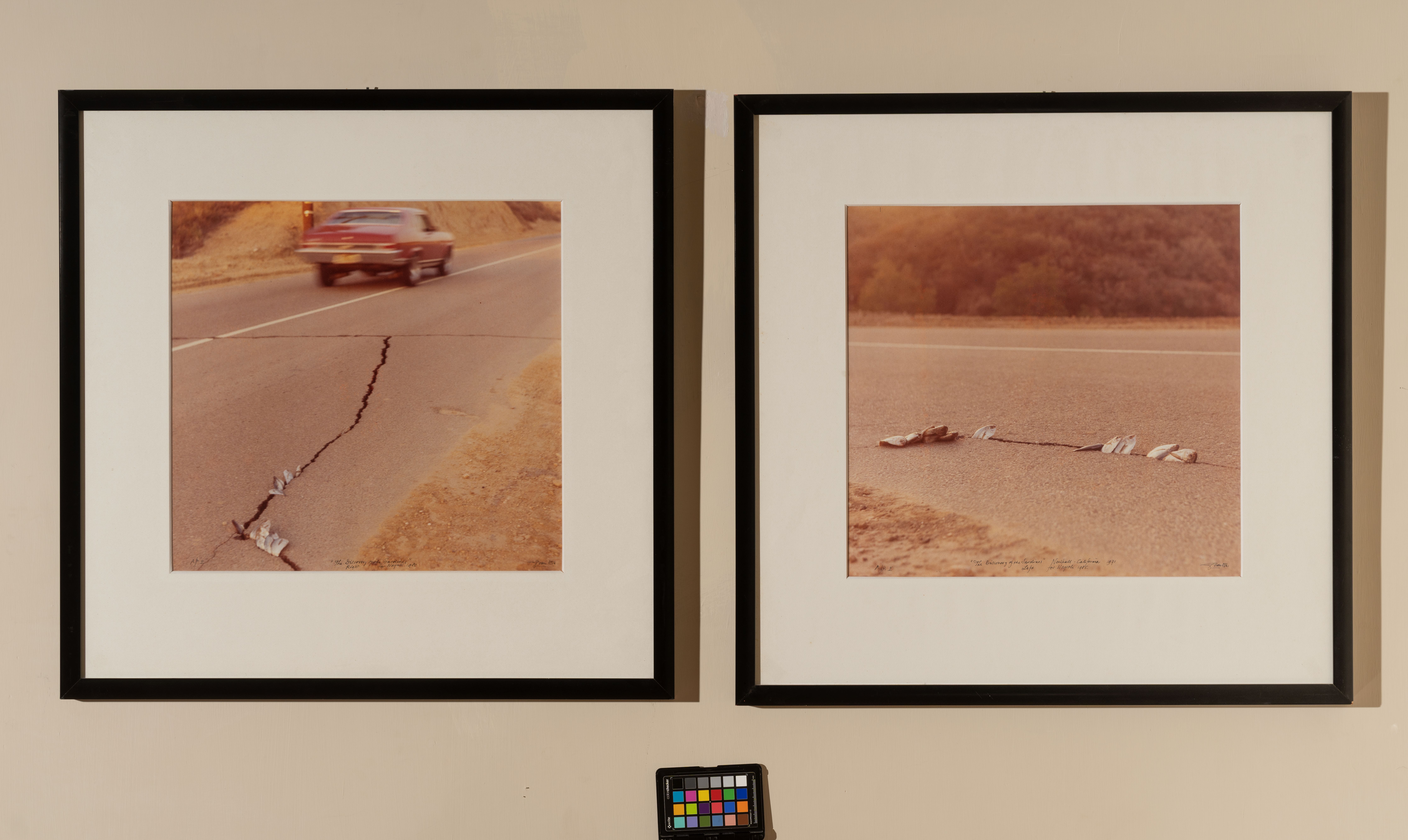 Discovery of the Sardines (fotografia) di Elk, Ger: van (sec. XX)