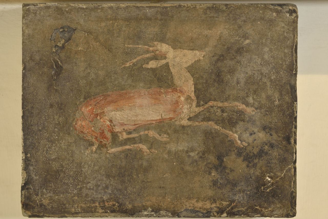 gazzella (opera parietale/ quadretto) (sec. I d.C)