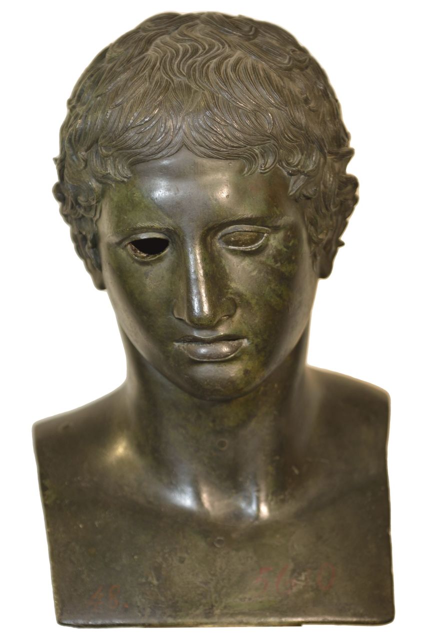 Eracle (busto/ maschile) - produzione campana (?) (terzo quarto sec. I a.C)