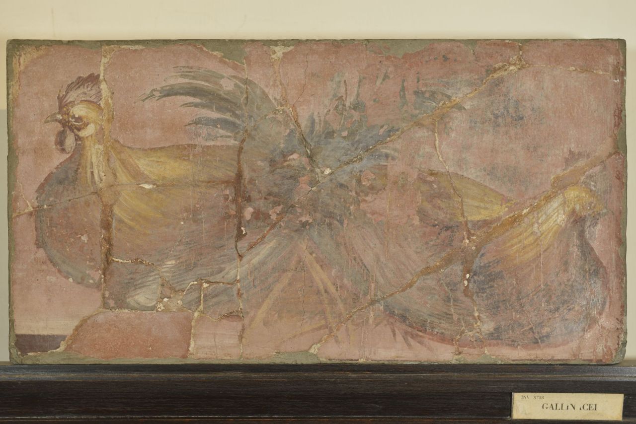 galli (opera parietale/ frammento) - fase stilistica II (sec. I a.C)