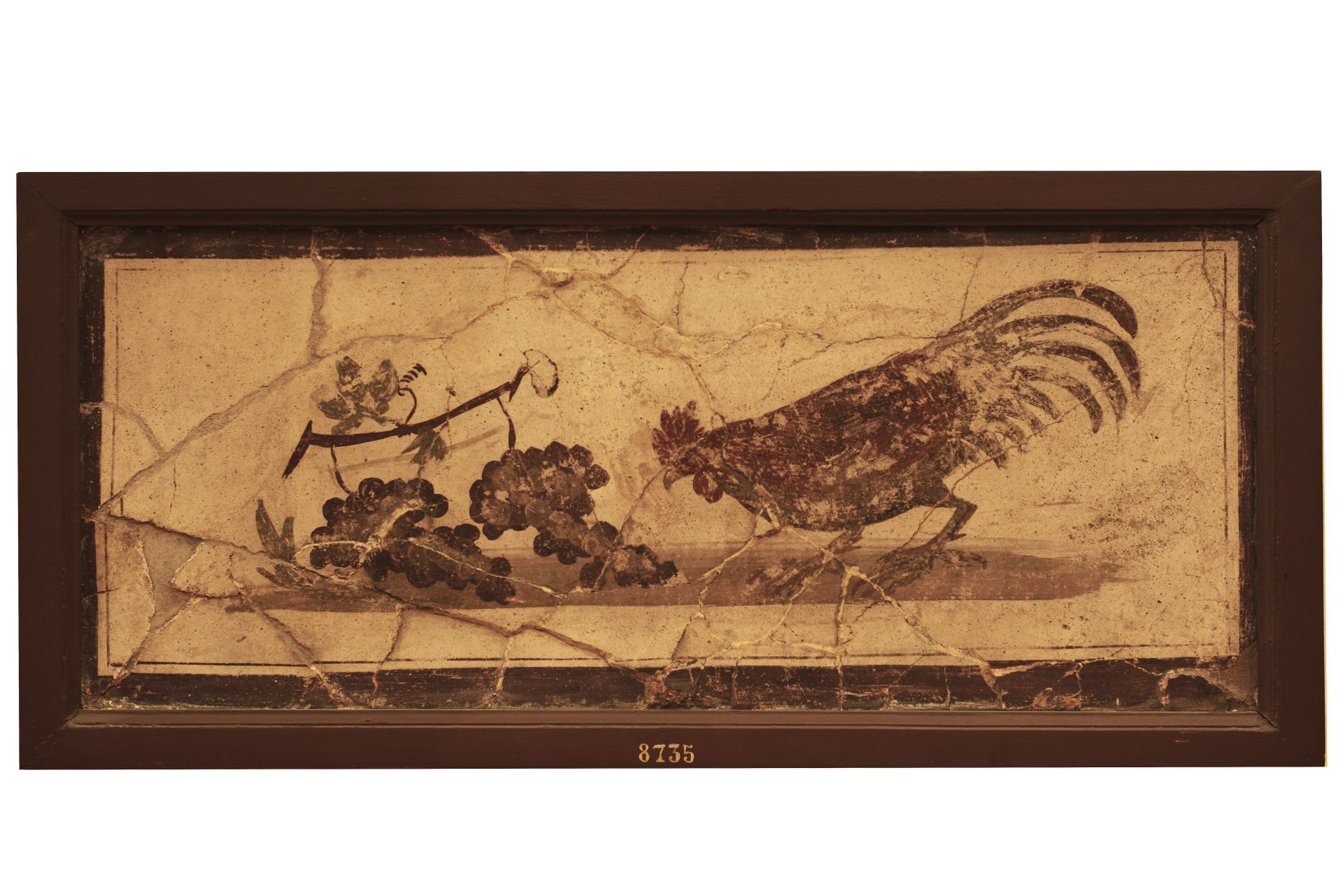 Gallo e uva (opera parietale) (sec. I d.C)