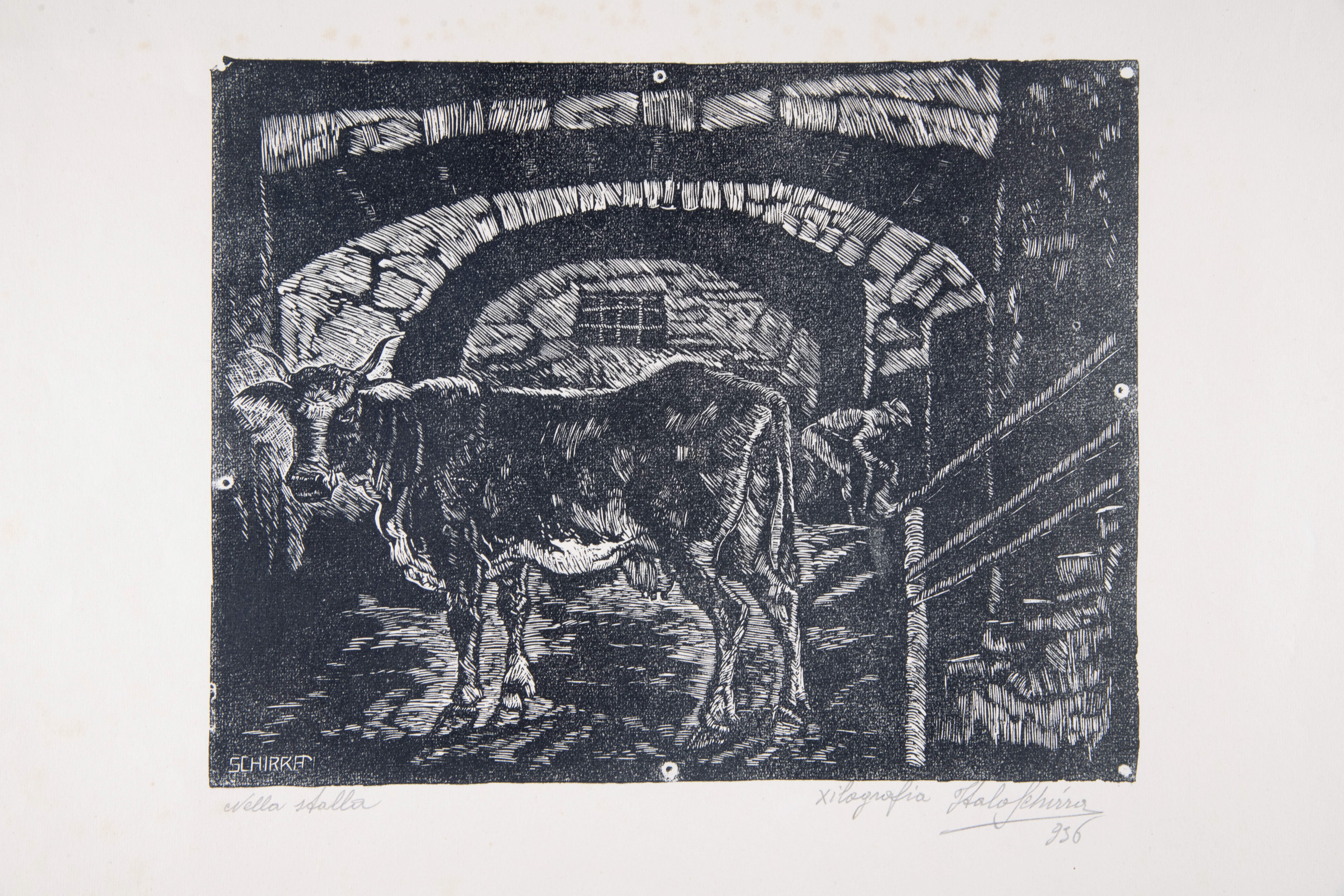 Nella stalla, animale (stampa) di Schirra, Italo (anni trenta XX)