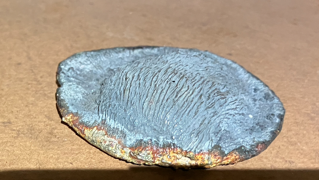 moneta a forma di ostrica (moneta) - ambito siamese (inizio/ metà XVII-XVIII)